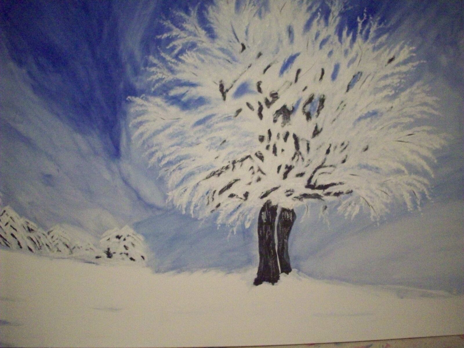 Kodak EASYSHARE M753 ZOOM DIGITAL CAMERA sample photo. Winter, snow, tree photography