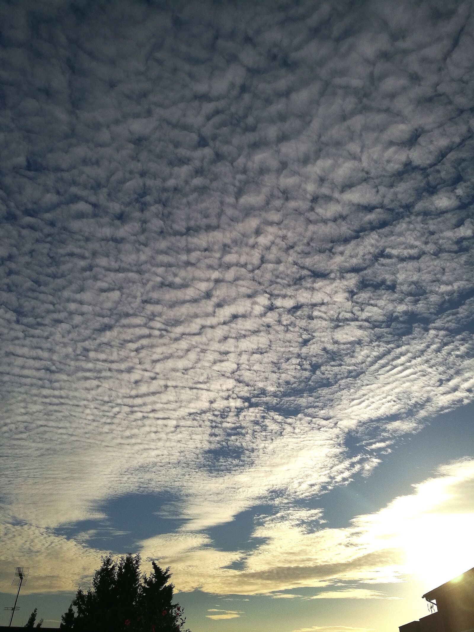 HUAWEI Honor 8 sample photo. Clouds, sky, sun photography