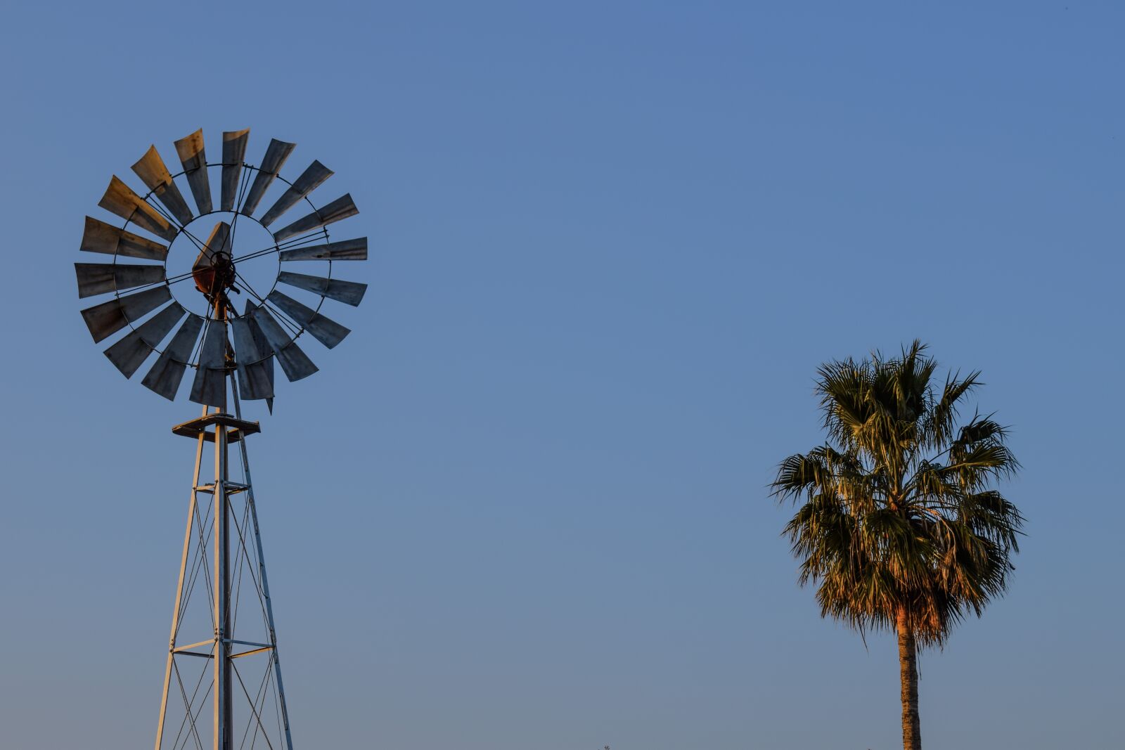 Nikon D3300 sample photo. Windmill, palm tree, countryside photography