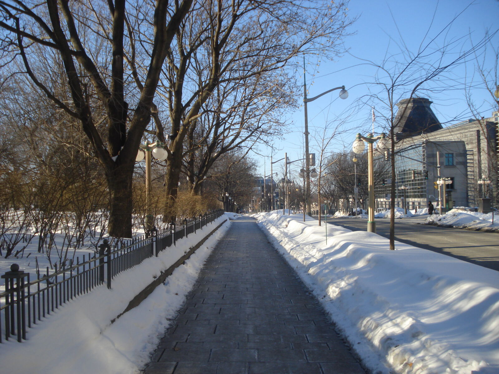 Sony DSC-W55 sample photo
