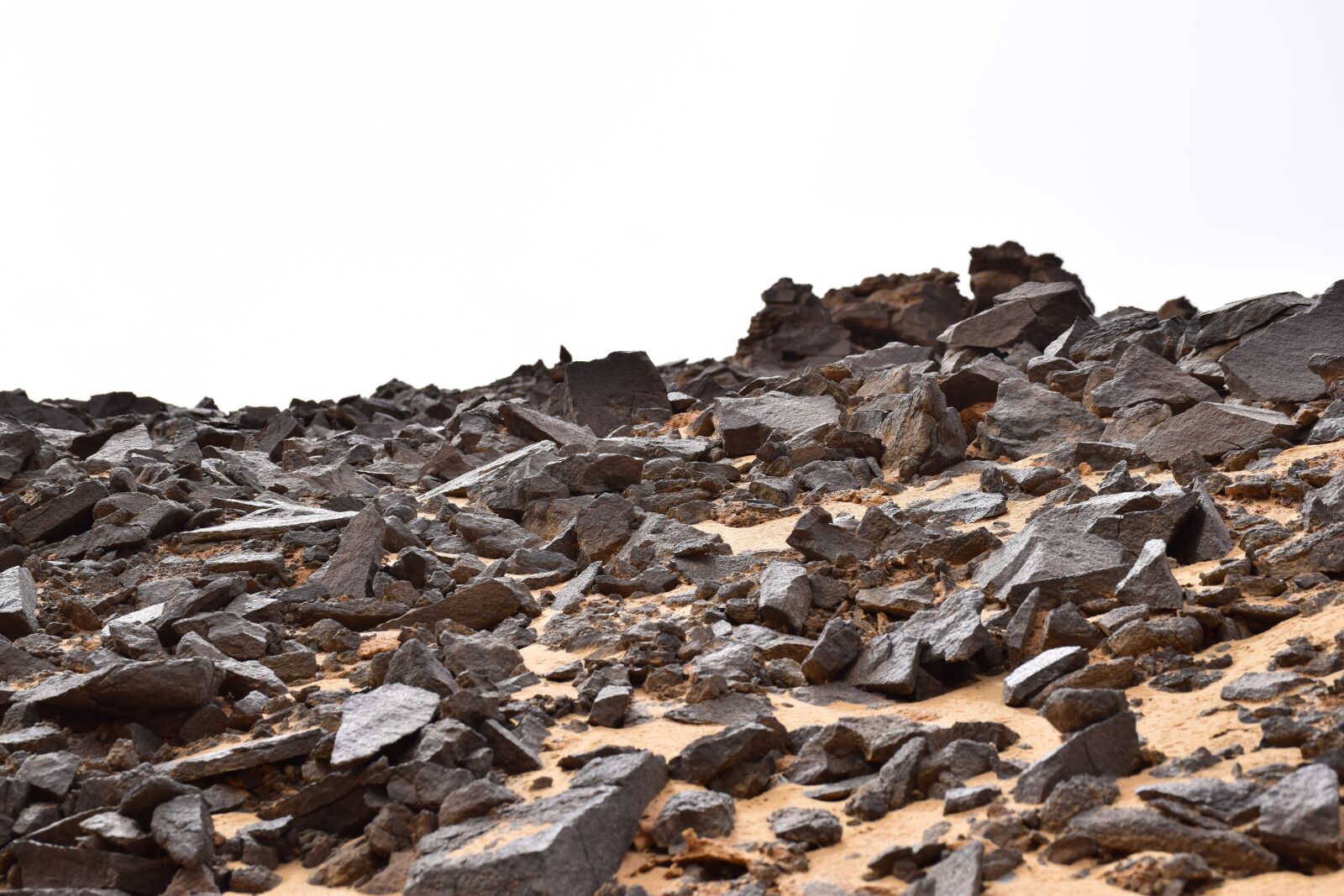 Nikon D5300 sample photo. Oases, desert, egypt photography
