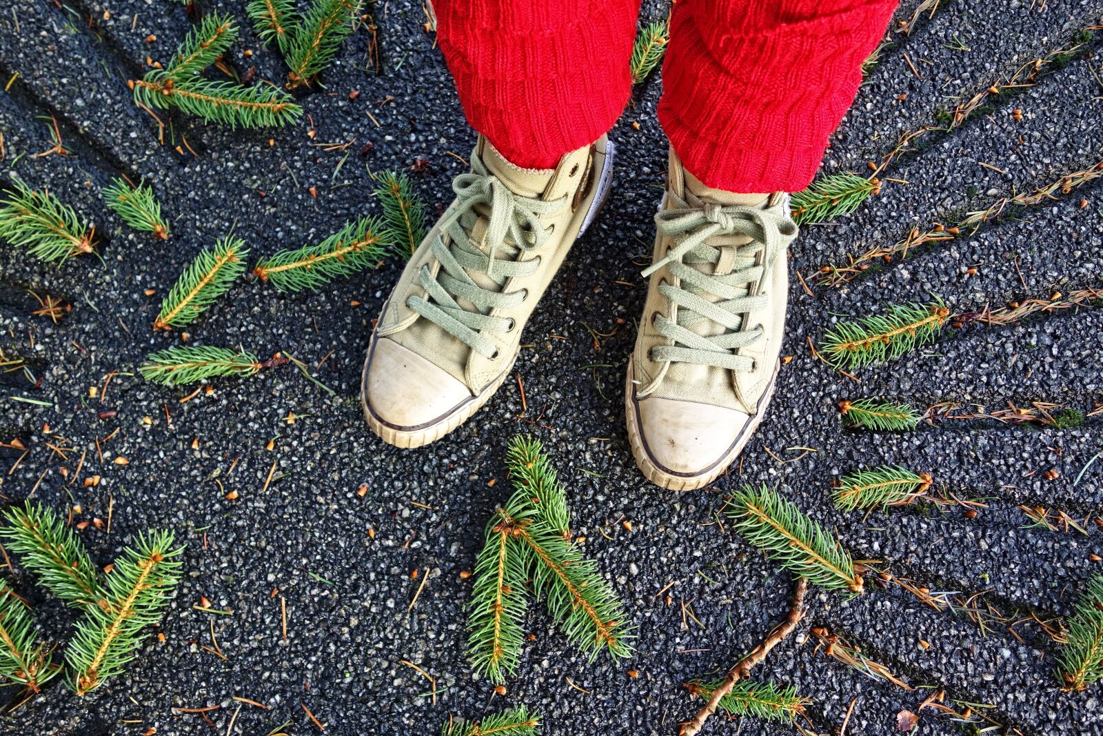 Sony Cyber-shot DSC-RX100 sample photo. Feet, shoe, sneaker photography