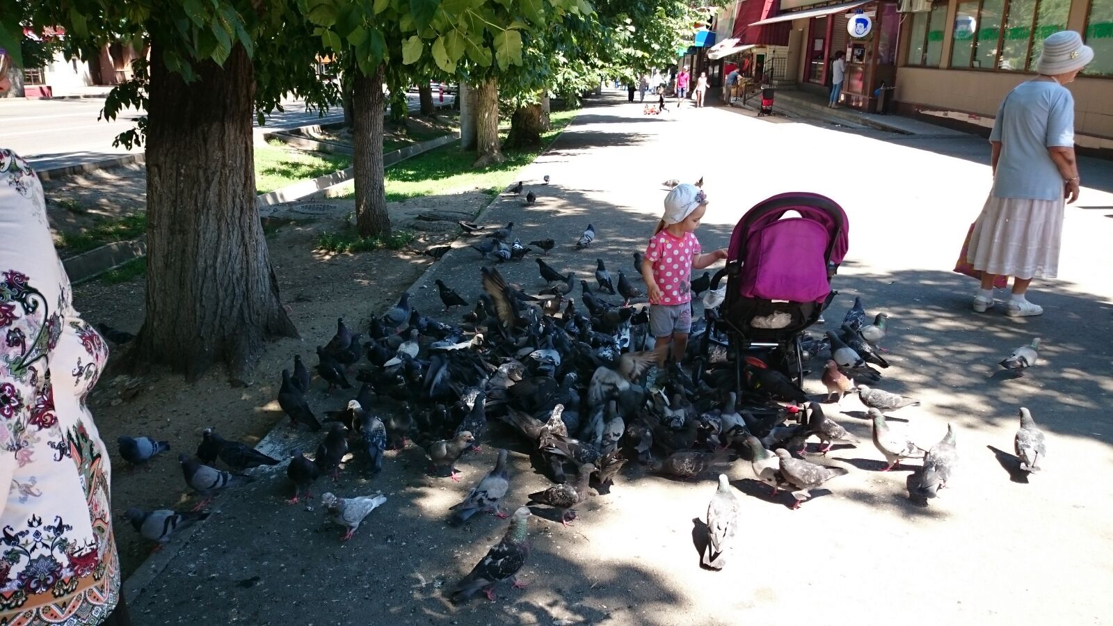 Sony Xperia Z1 Compact sample photo. Pigeons, kids, people photography