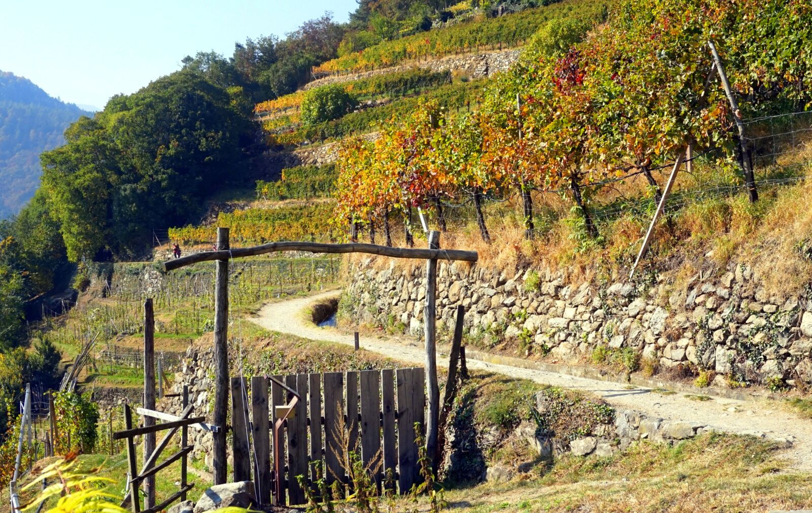 Sony Alpha a5000 (ILCE 5000) sample photo. Autumn, hiking, south tyrol photography
