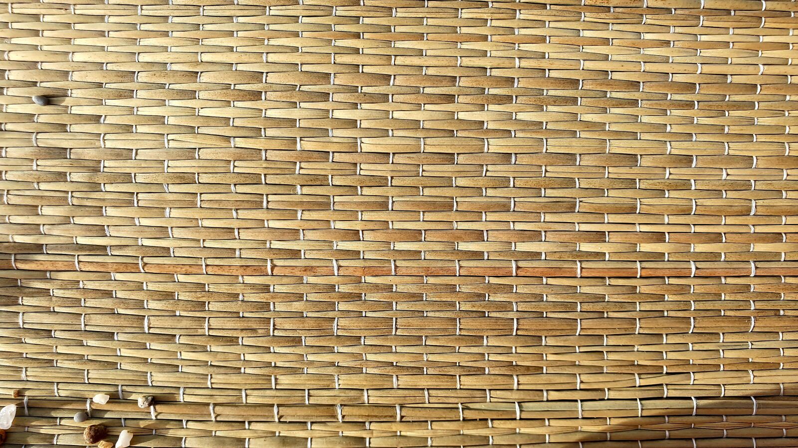 Samsung Galaxy S10e sample photo. Wire mesh, summer, beach photography