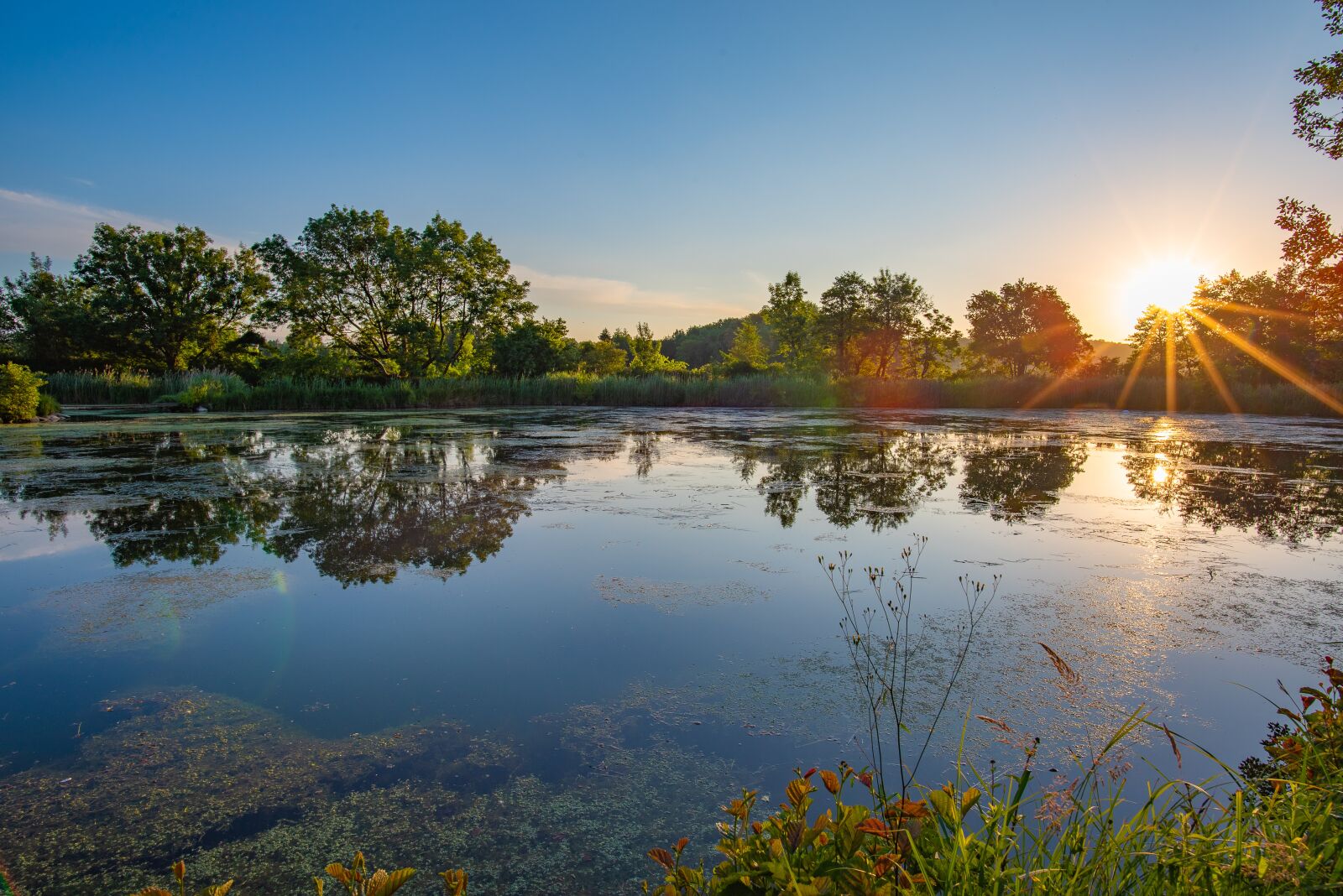 Nikon D750 sample photo. Pond, nature, reflections photography