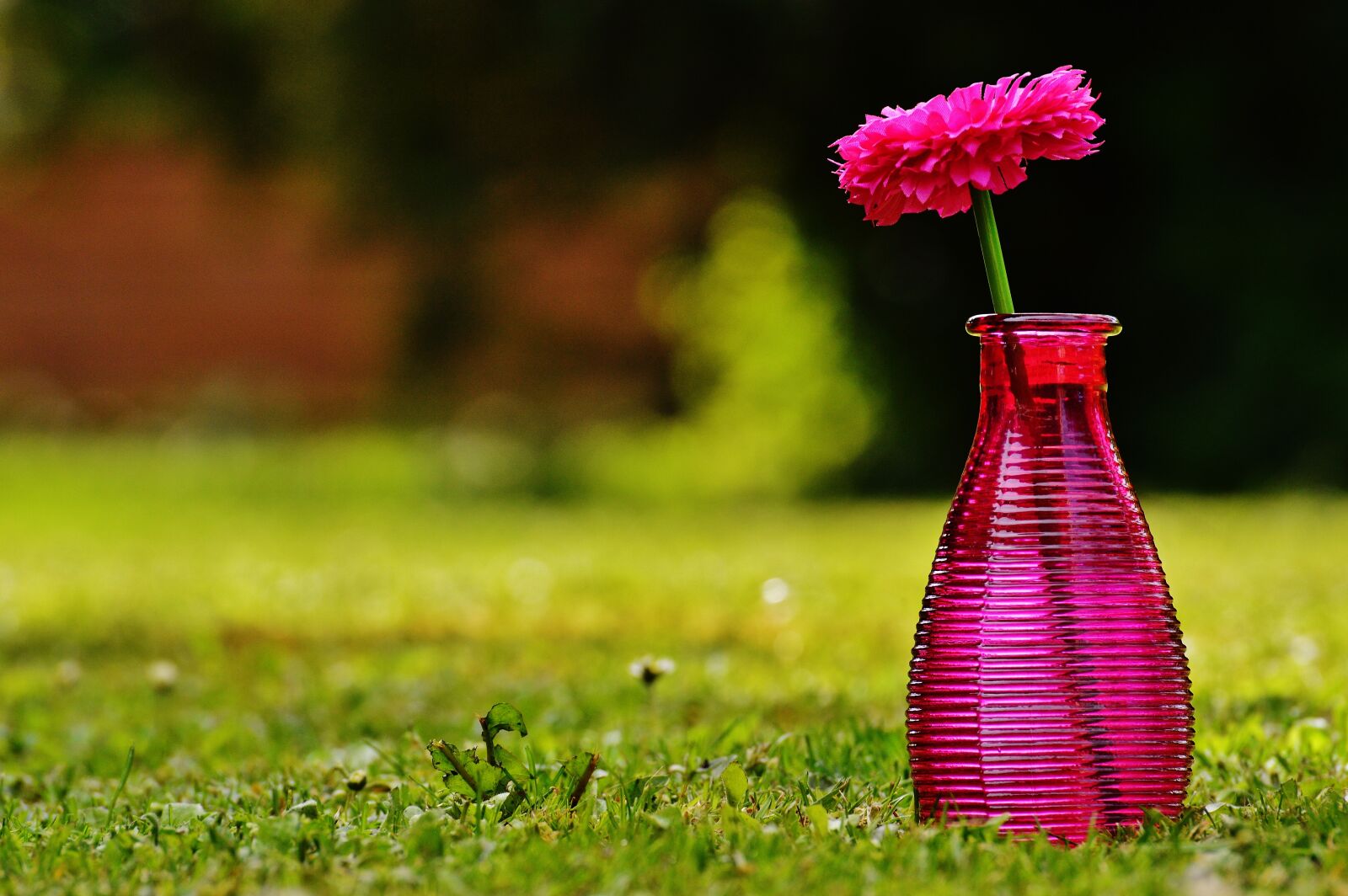 Nikon D3200 sample photo. Vase, glass, flower photography