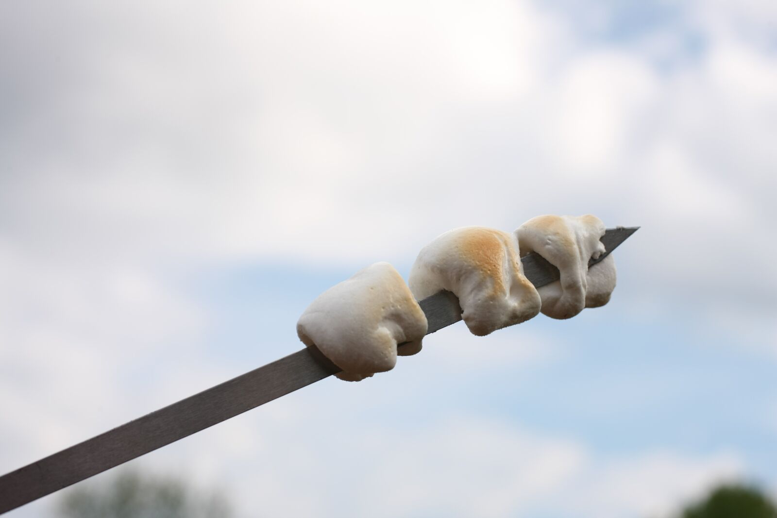 Canon EOS-1Ds Mark III sample photo. Marshmallow, spies, party photography