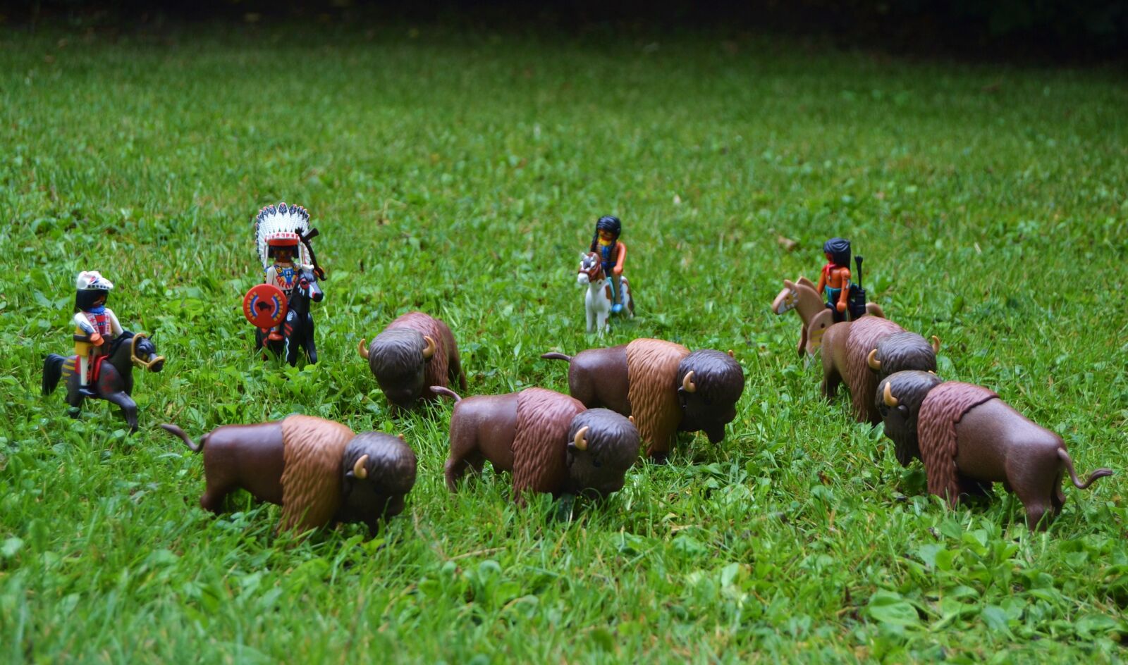 Nikon D3100 sample photo. Playmobil, western, usa photography