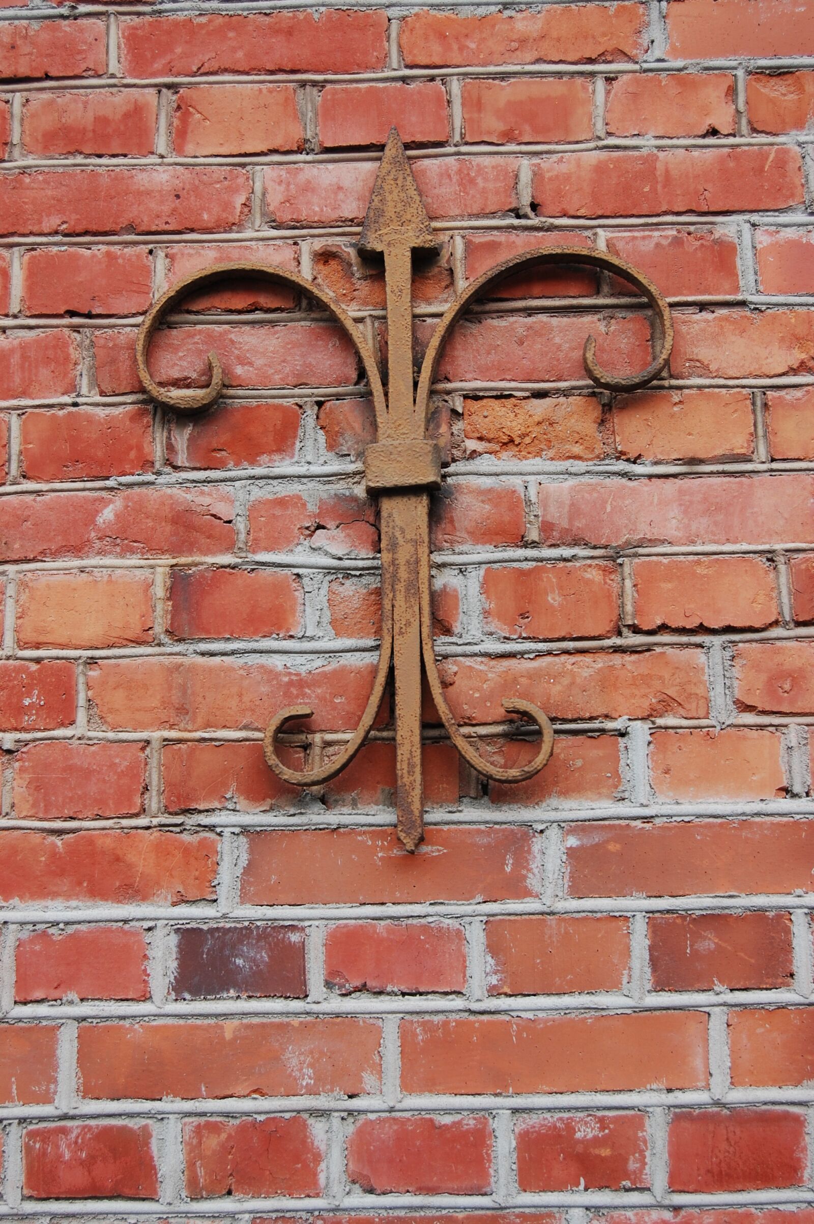 Nikon D40 sample photo. Wrought iron, metal, design photography