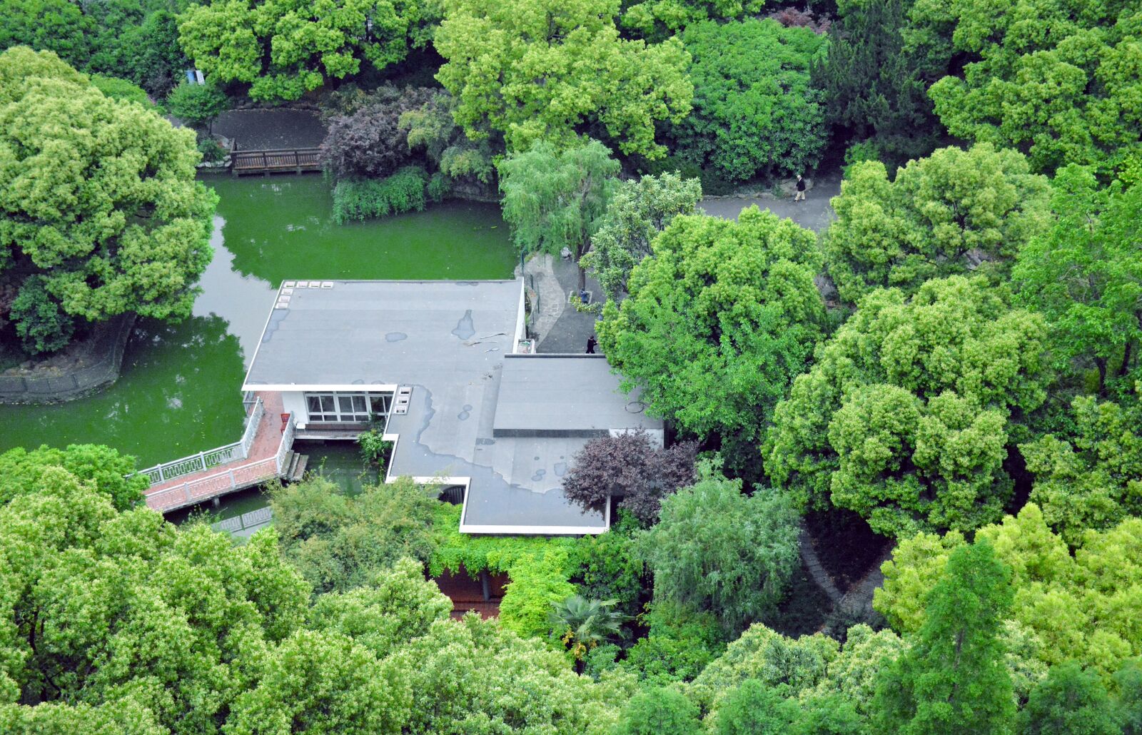 Nikon D7100 sample photo. Nature, tree, garden photography