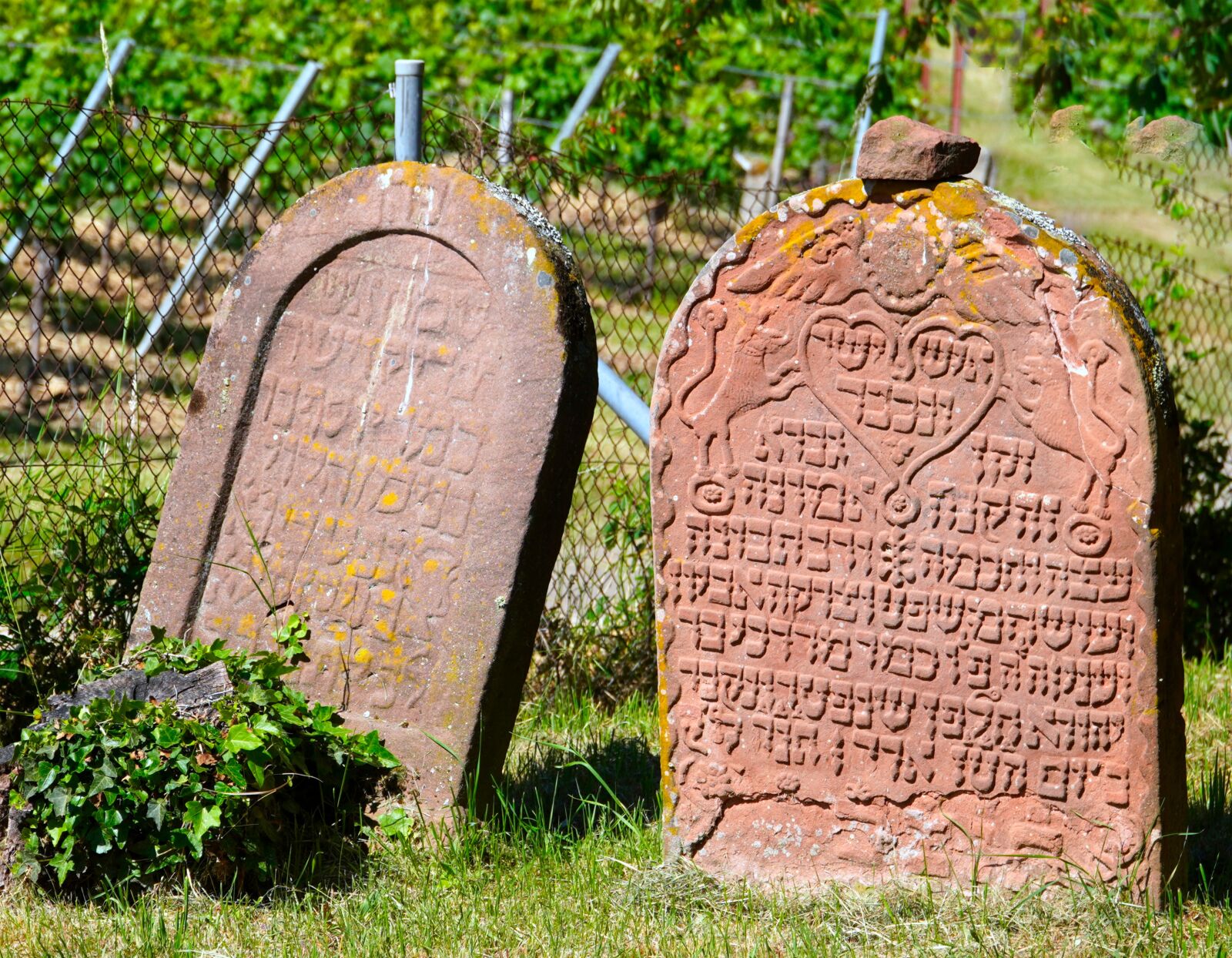 Sony E PZ 18-105mm F4 G OSS sample photo. Cemetery, jewish, tombstone photography