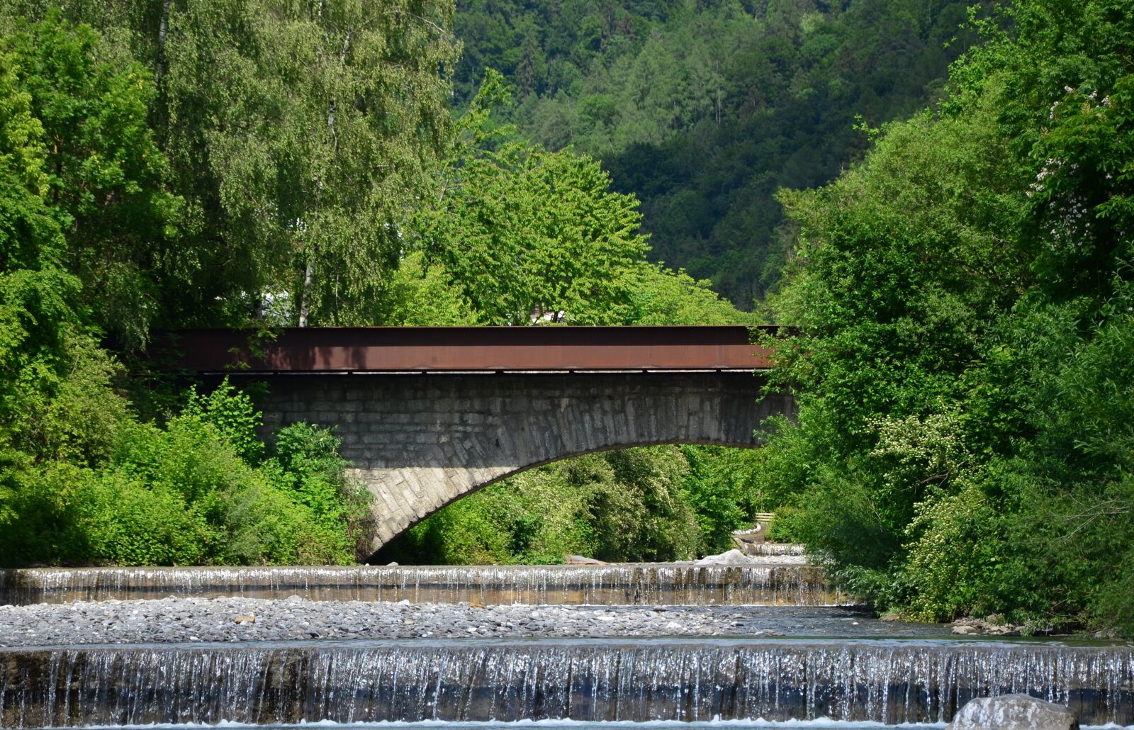 Nikon D5100 sample photo. Bach, trees, water photography