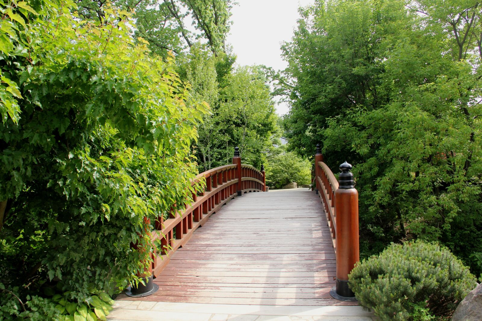 Canon EOS 60D sample photo. Bridge, water, landscape photography