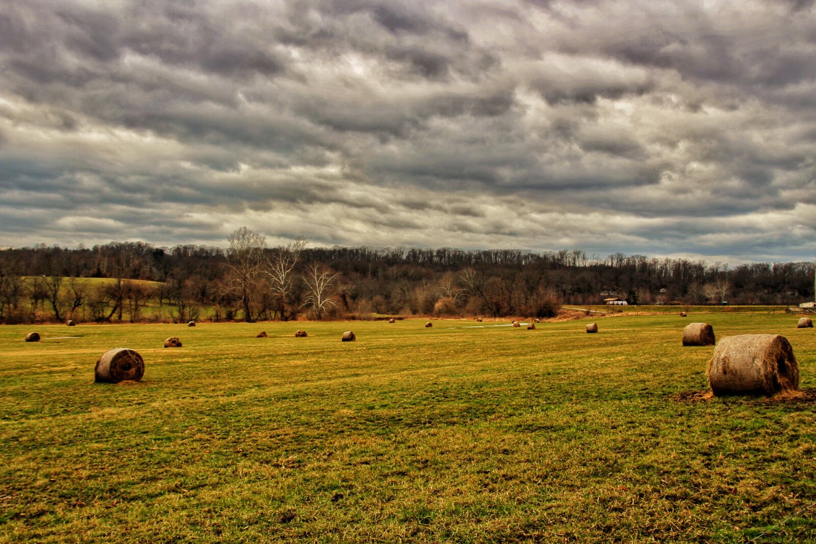 Canon EOS 100D (EOS Rebel SL1 / EOS Kiss X7) sample photo. Agriculture, farm, field photography