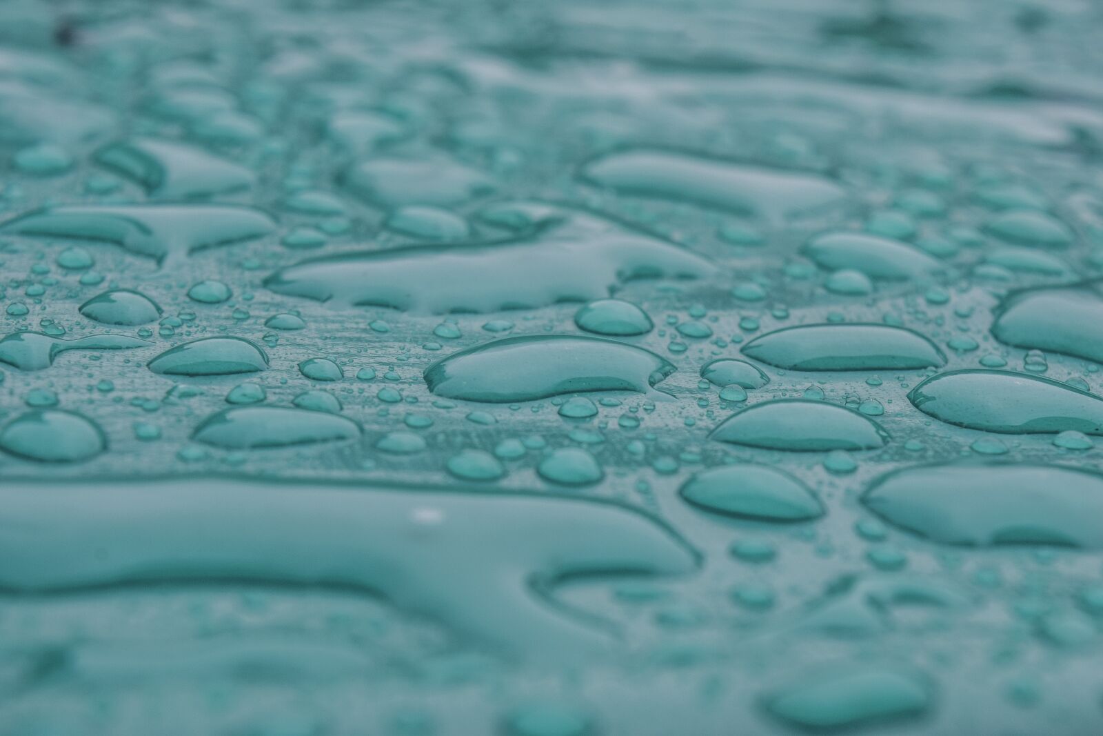 Nikon D3300 sample photo. Water, nature, wet photography