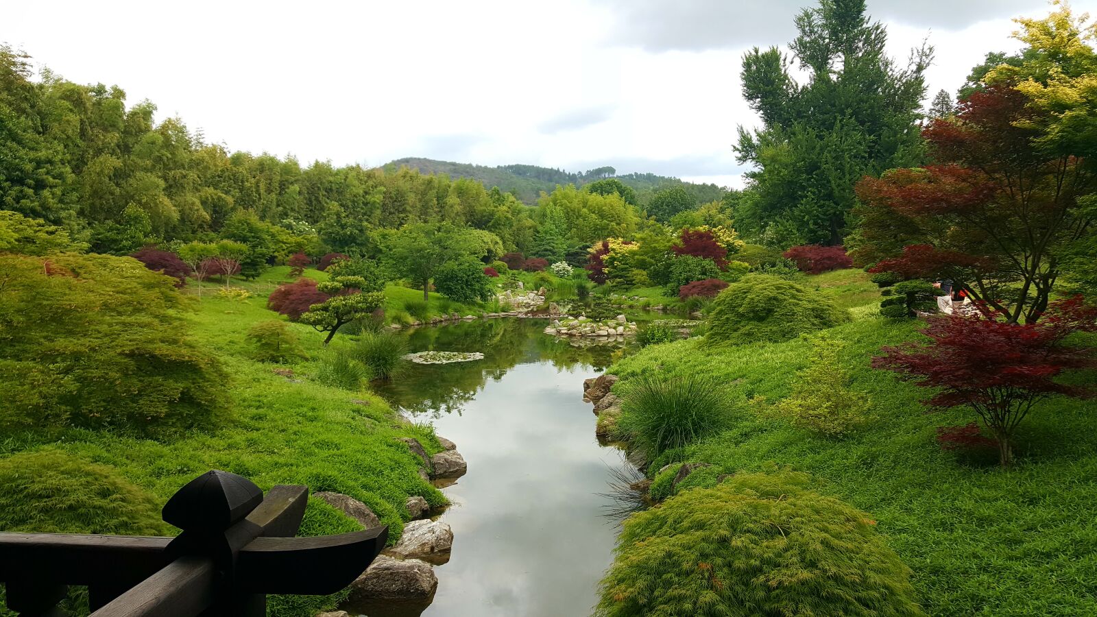 Samsung GALAXY S6 edge sample photo. Landscape, bamboo plantation, garden photography