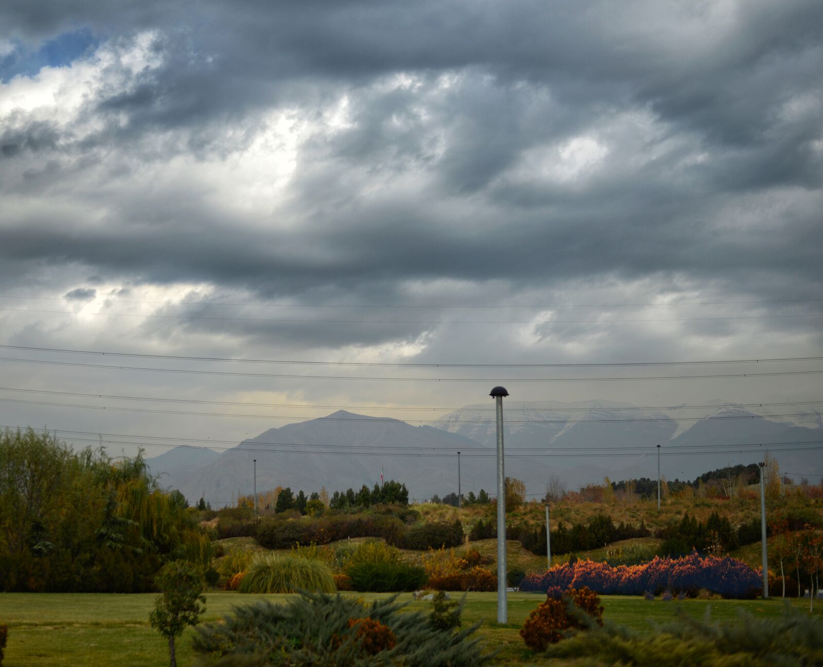 Nikon D610 sample photo