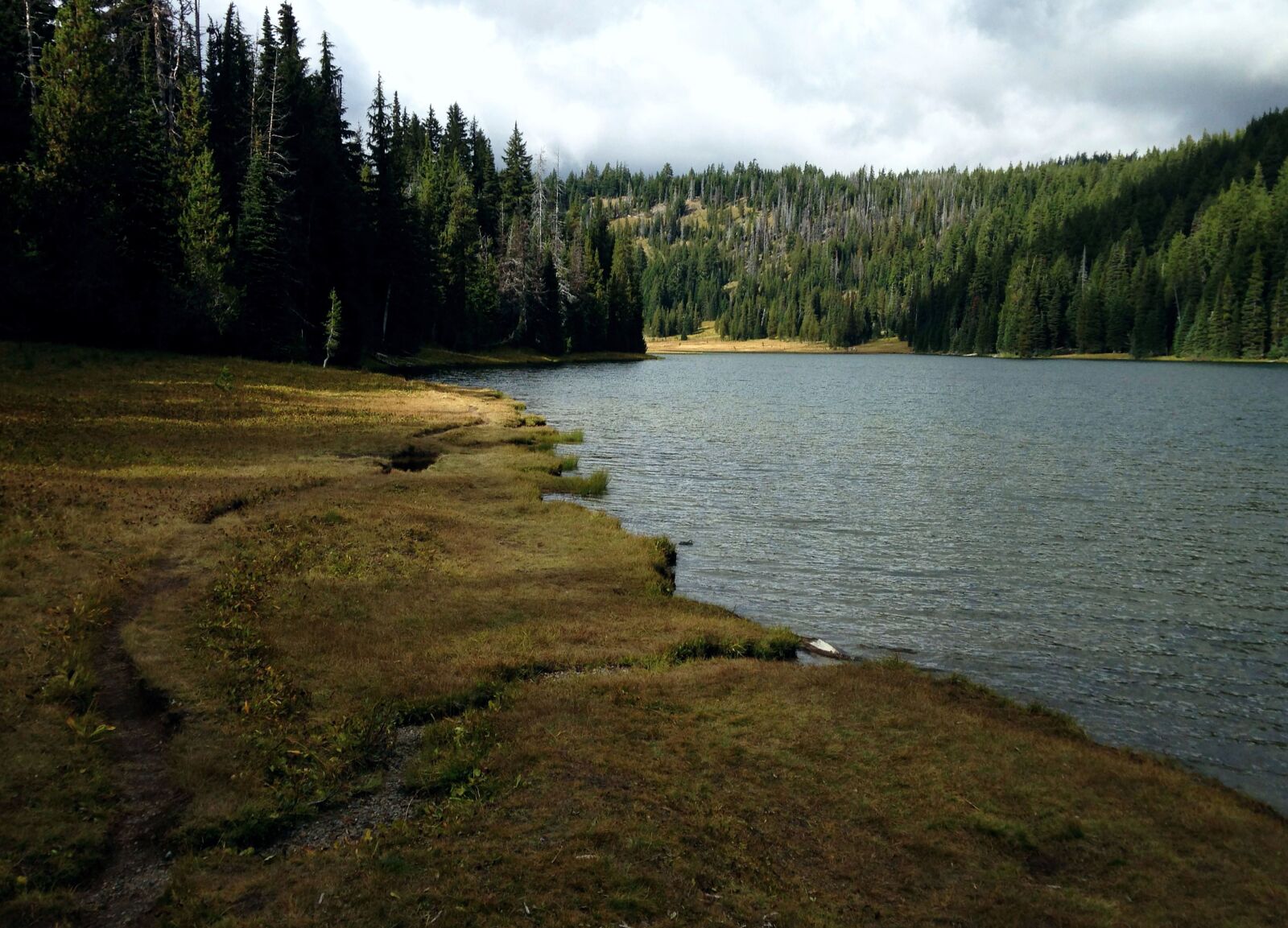 Apple iPhone 5 sample photo. Lake, trees, background photography