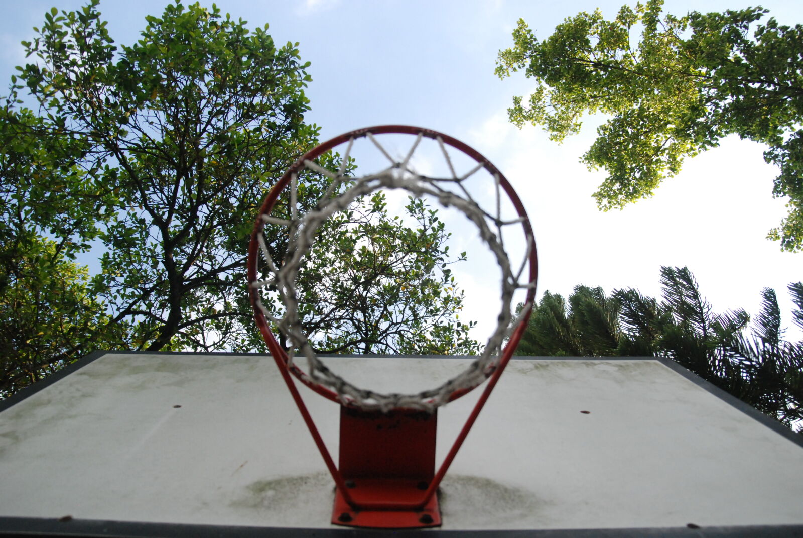 Nikon D80 sample photo. Basketball, basket photography