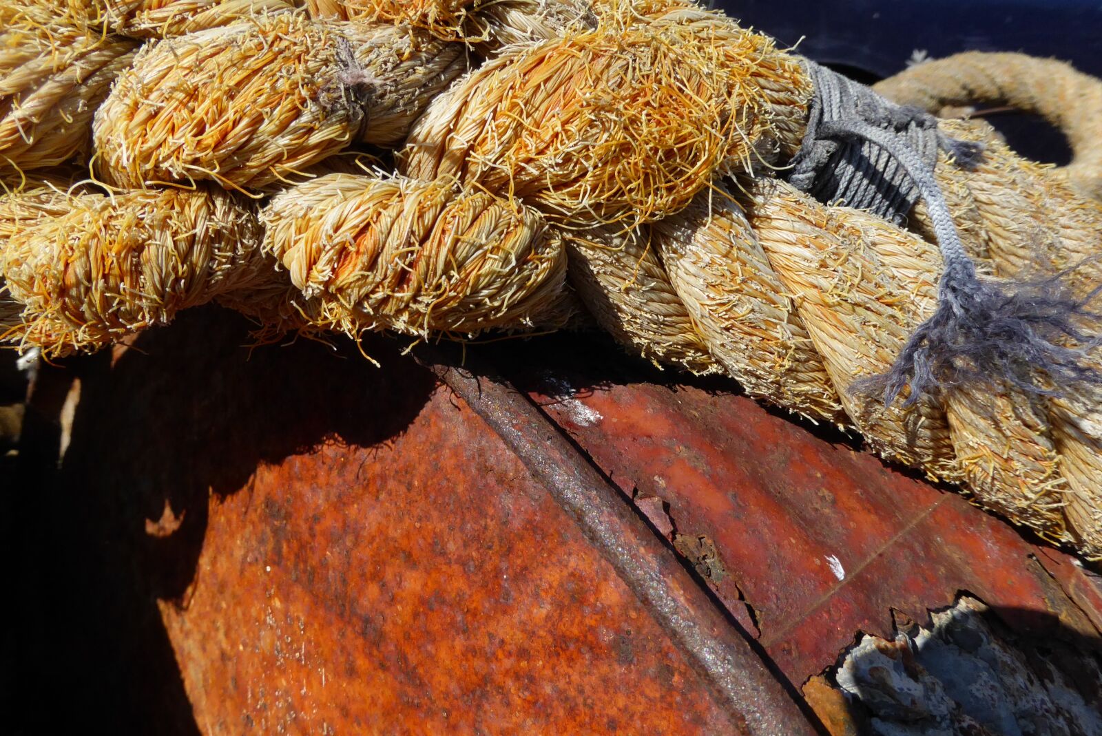 Panasonic Lumix DMC-ZS50 (Lumix DMC-TZ70) sample photo. Oil barrel, rope, rust photography