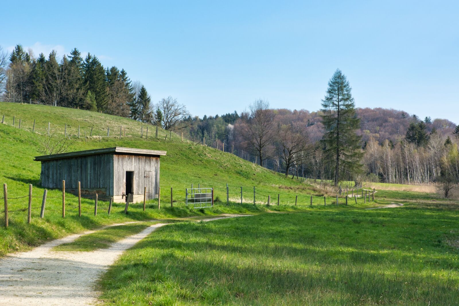 Nikon D7100 sample photo. Spring, away, nature photography