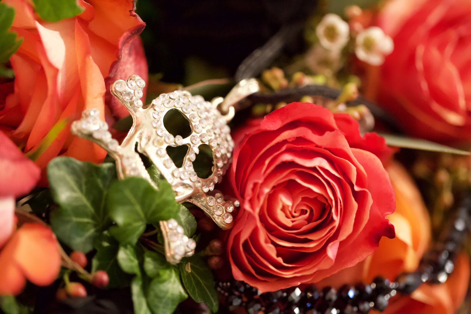 Canon EOS 5D Mark III sample photo. Rose, flower, romantic photography