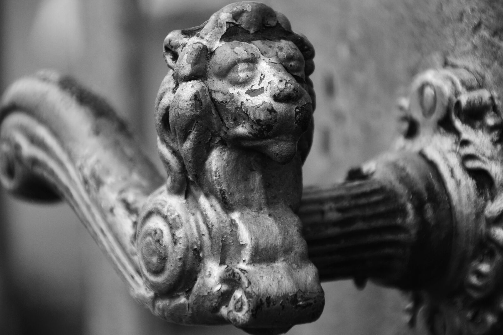 Nikon D3300 sample photo. Lion head, door handle photography