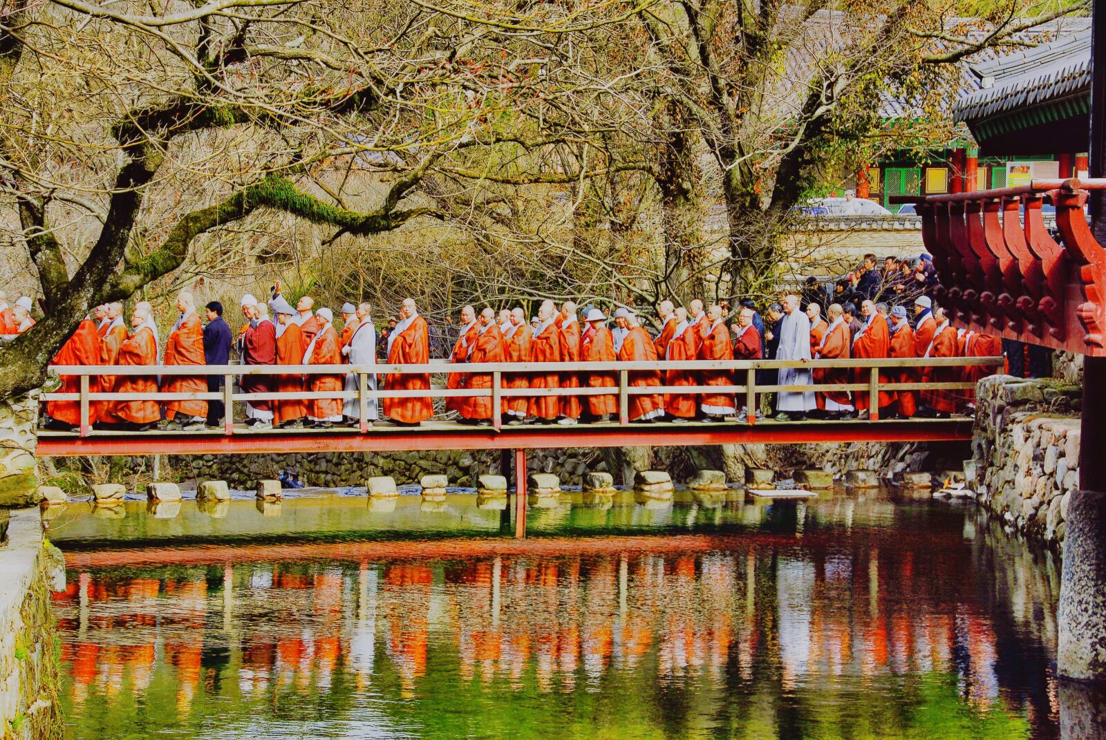 Nikon D200 sample photo. Monk, buddhism, religion photography