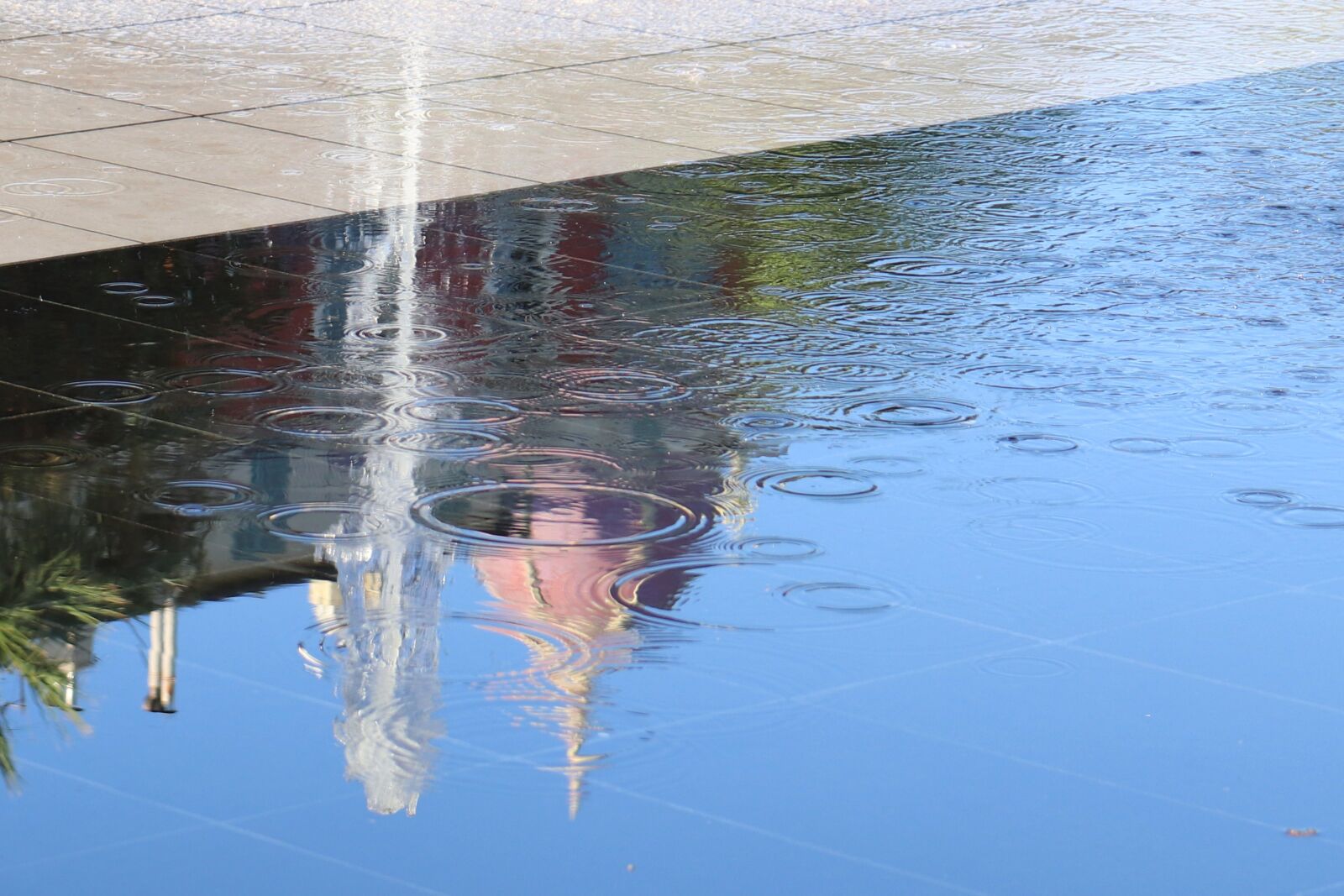 Canon EOS 200D (EOS Rebel SL2 / EOS Kiss X9) sample photo. Water level, mirroring, water photography