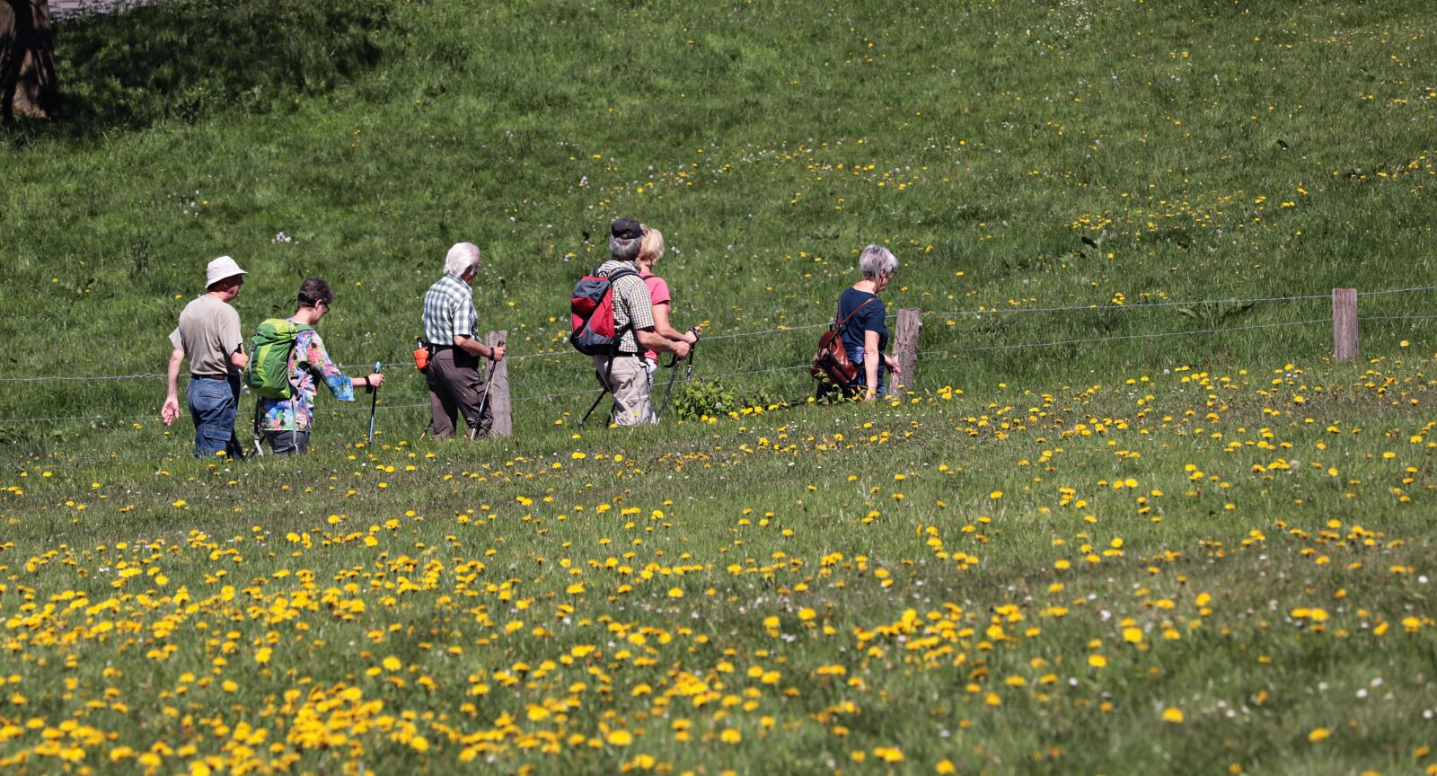 Canon EF-S 55-250mm F4-5.6 IS STM sample photo. Hiking, summer, landscape photography