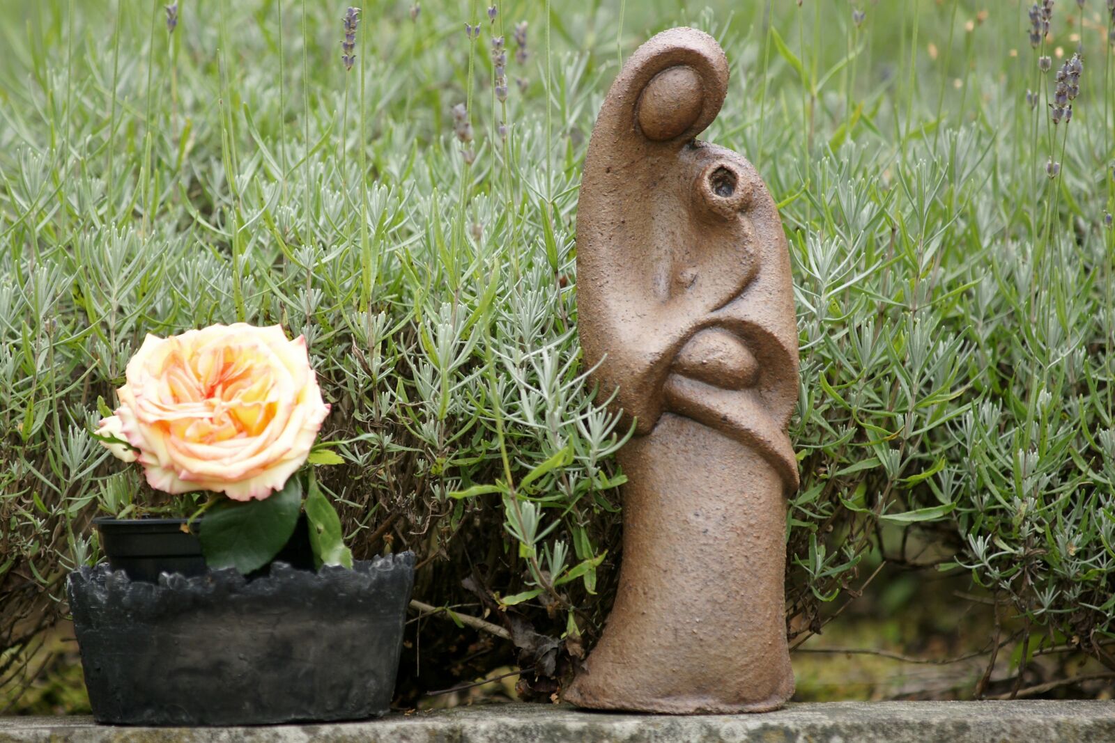 Sony Alpha DSLR-A700 sample photo. Rose, sculpture, woman with photography