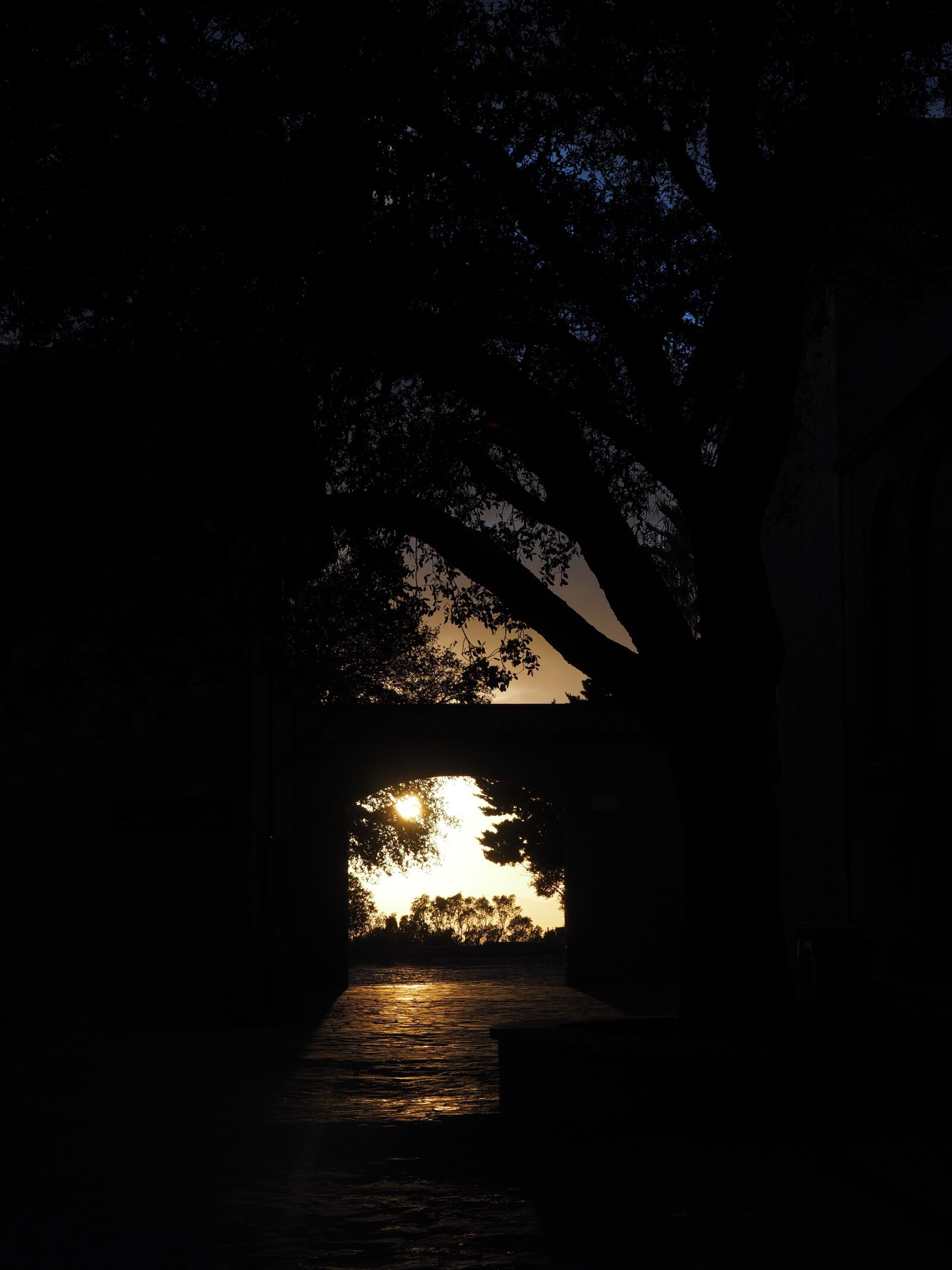 Olympus OM-D E-M1 + Olympus M.Zuiko Digital ED 12-40mm F2.8 Pro sample photo. Sunset, passage, sun photography