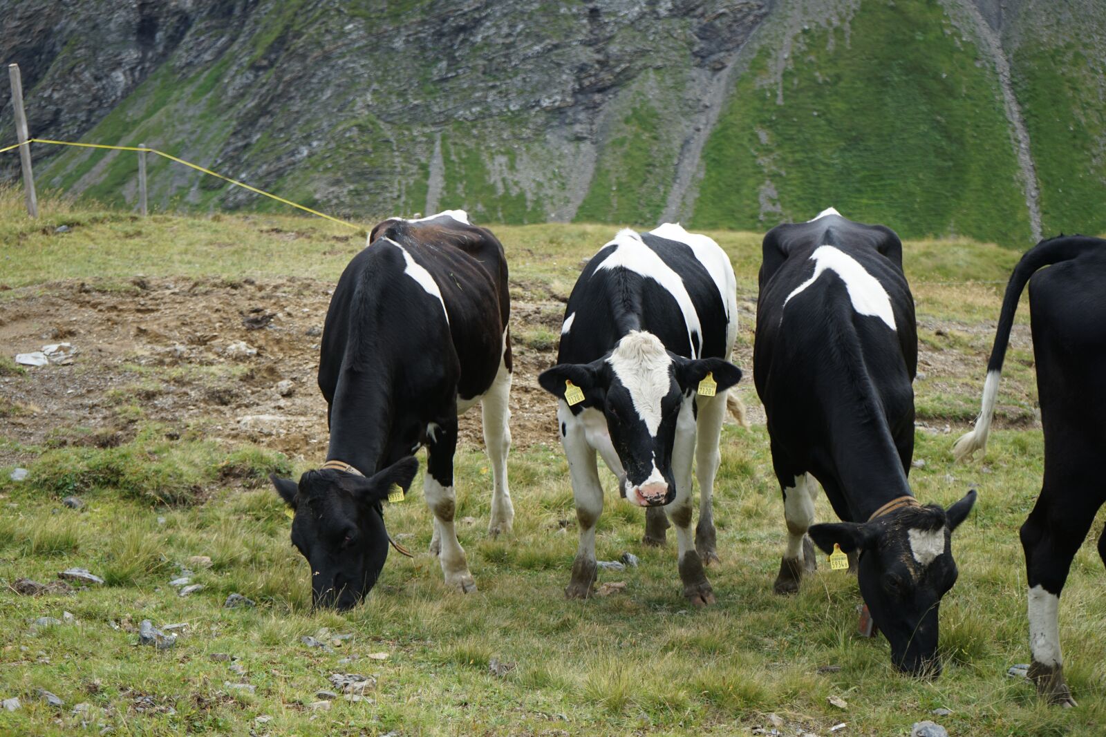 Sony FE 28-70mm F3.5-5.6 OSS sample photo. Switzerland, hiking, mountains photography