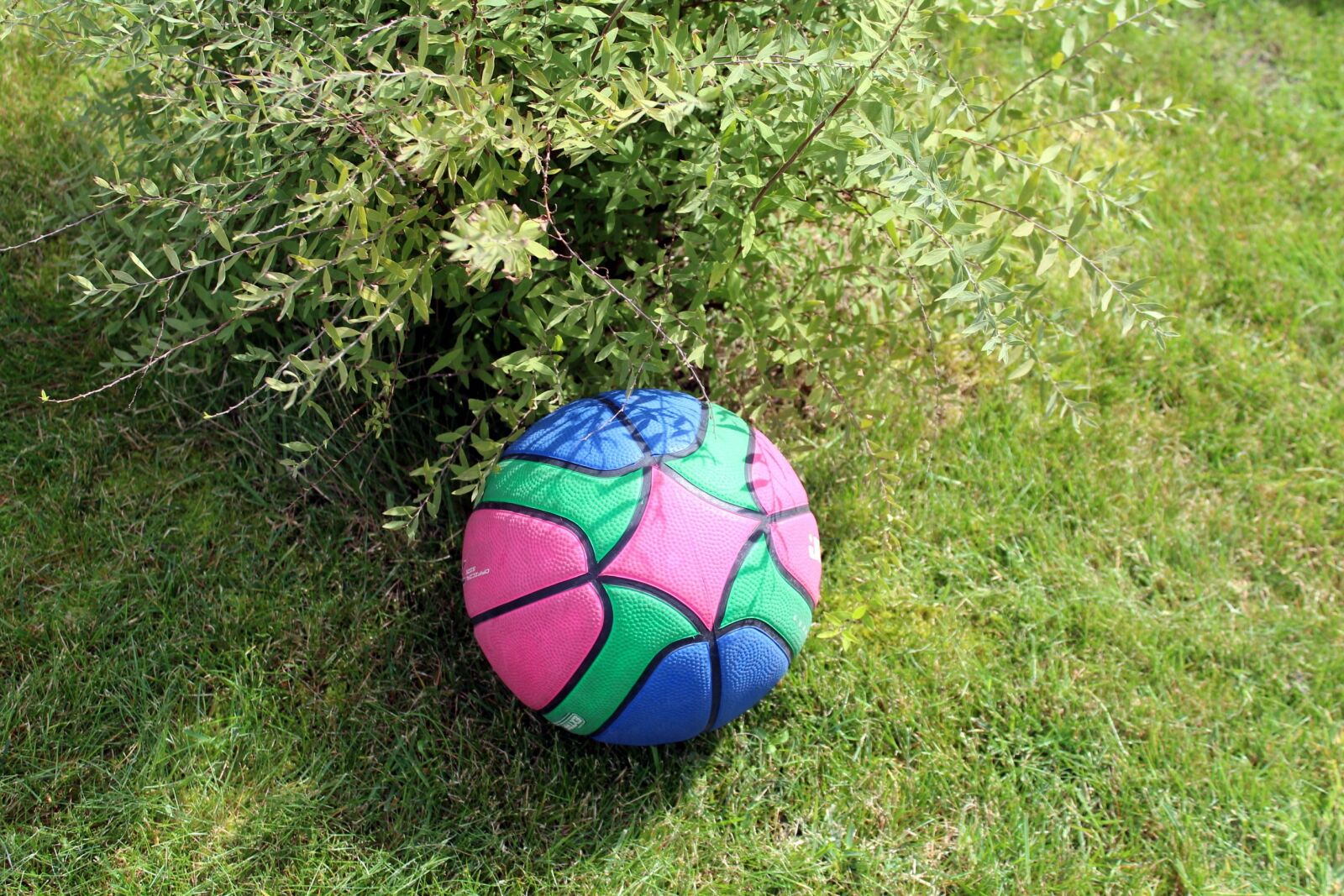 Canon EOS 1200D (EOS Rebel T5 / EOS Kiss X70 / EOS Hi) sample photo. The ball, fun, holidays photography