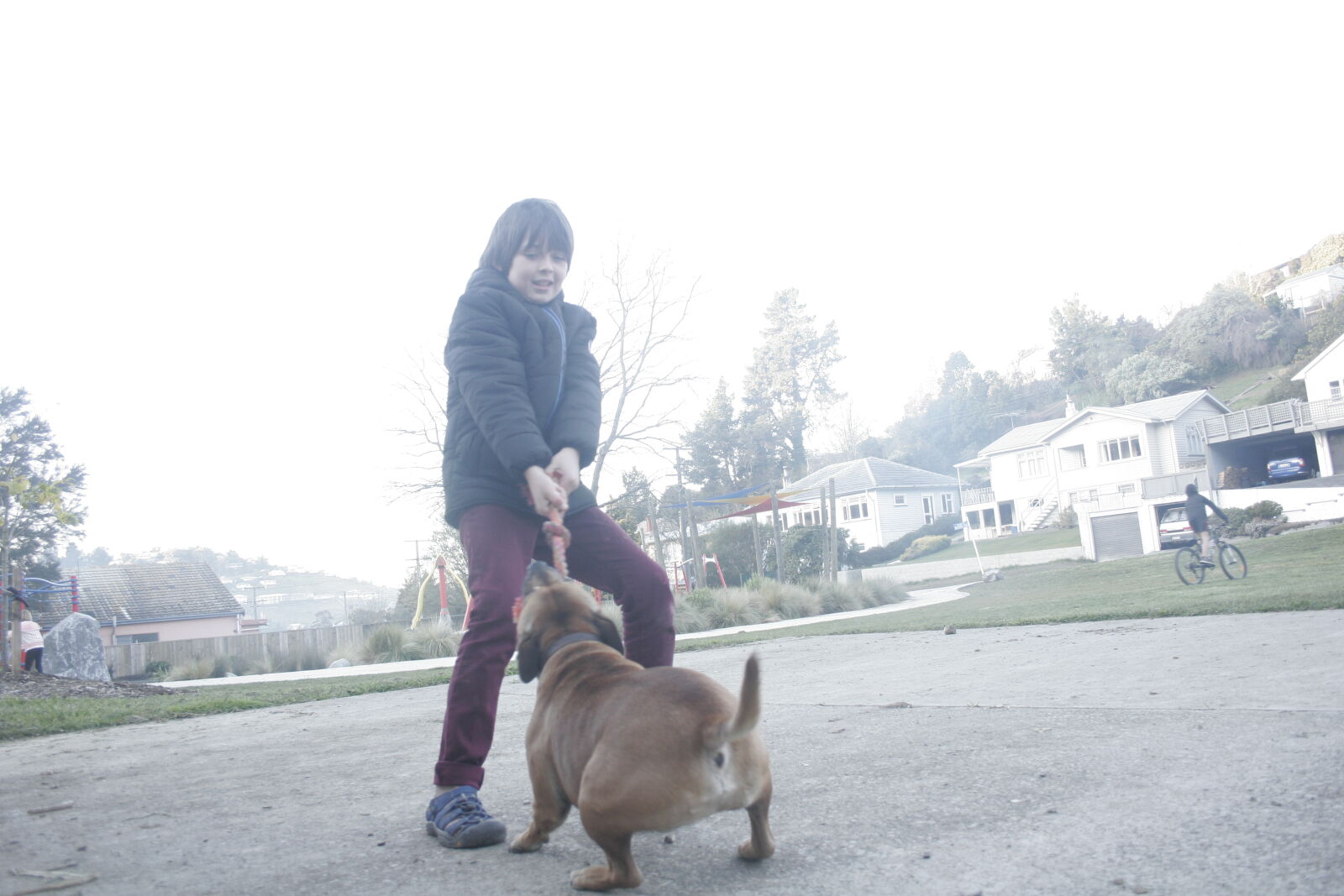 Canon EOS 20D sample photo. Boy, dog, park, tug photography