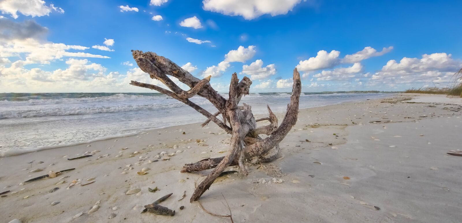 Canon EOS 60D sample photo. Beach, marco islam, kite photography