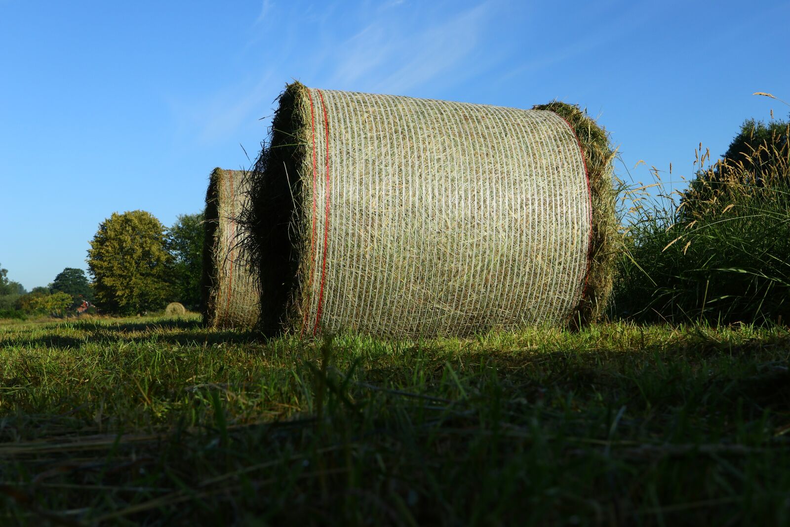 Canon EF-M 28mm F3.5 Macro IS STM sample photo. Agriculture, harvest, round bales photography