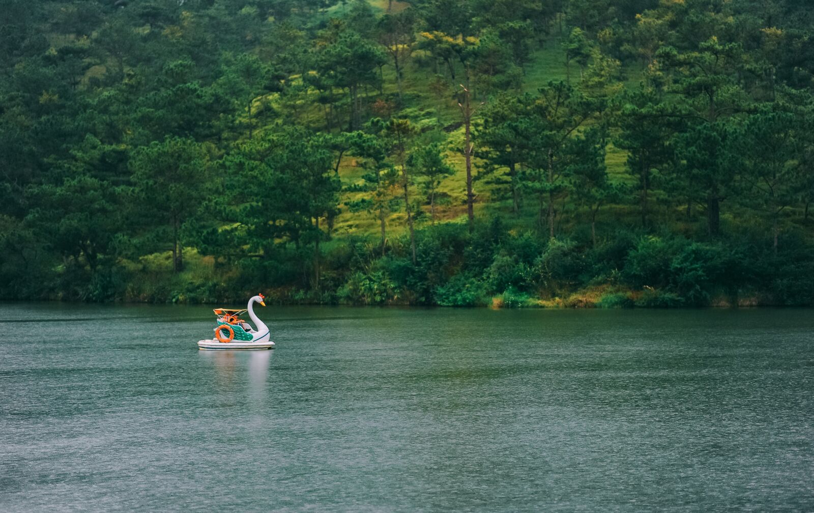Nikon D700 sample photo. Landscape, travel, cute photography