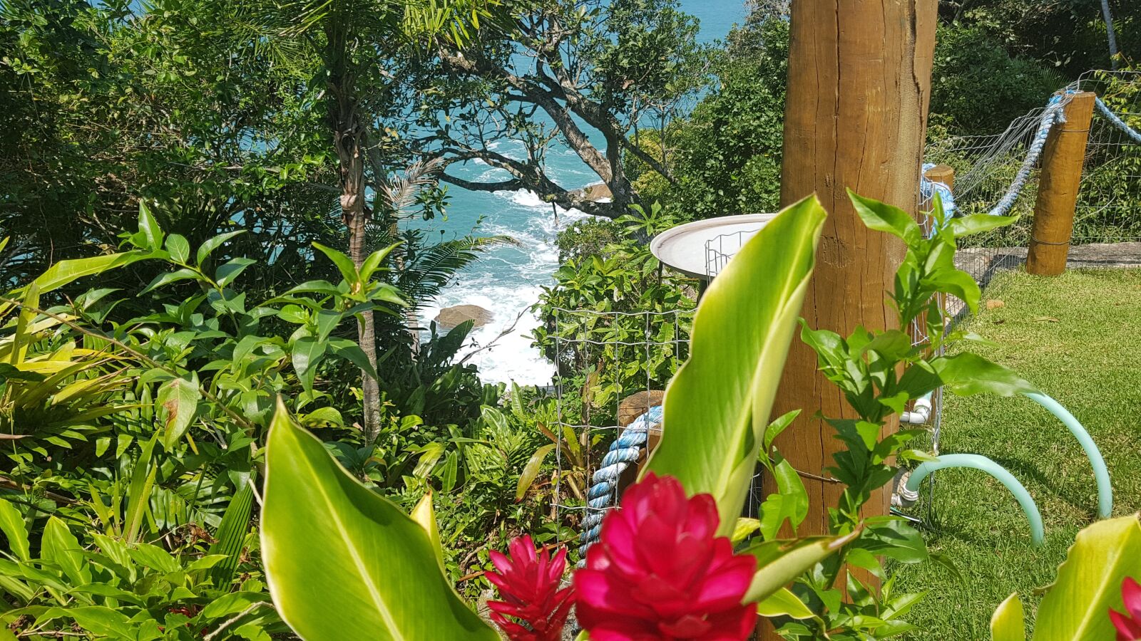 Samsung Galaxy S8 sample photo. Mar, folhagem, jardim photography