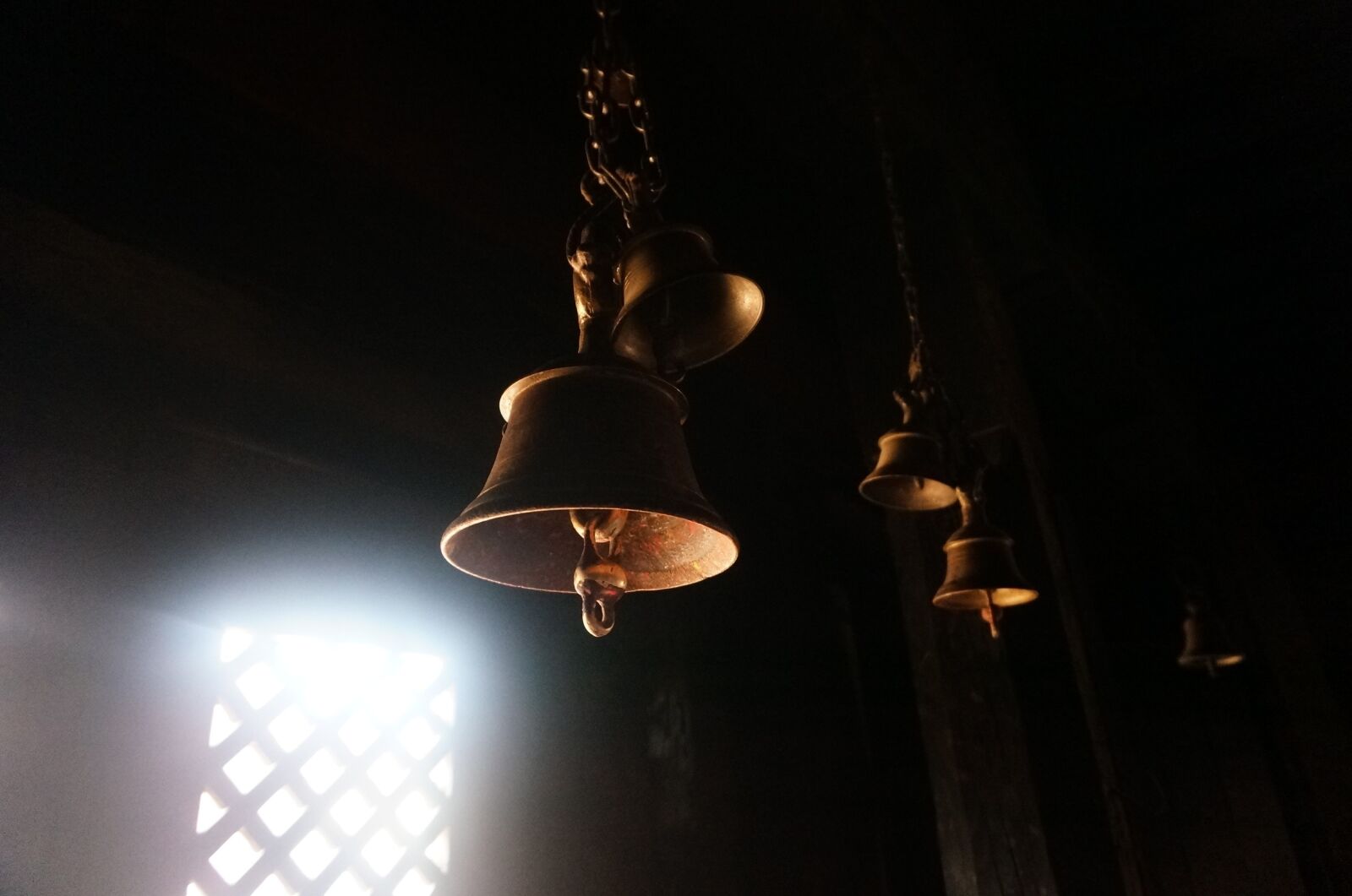 Sony Alpha NEX-5T sample photo. Nepal, kathmandu, campanula photography