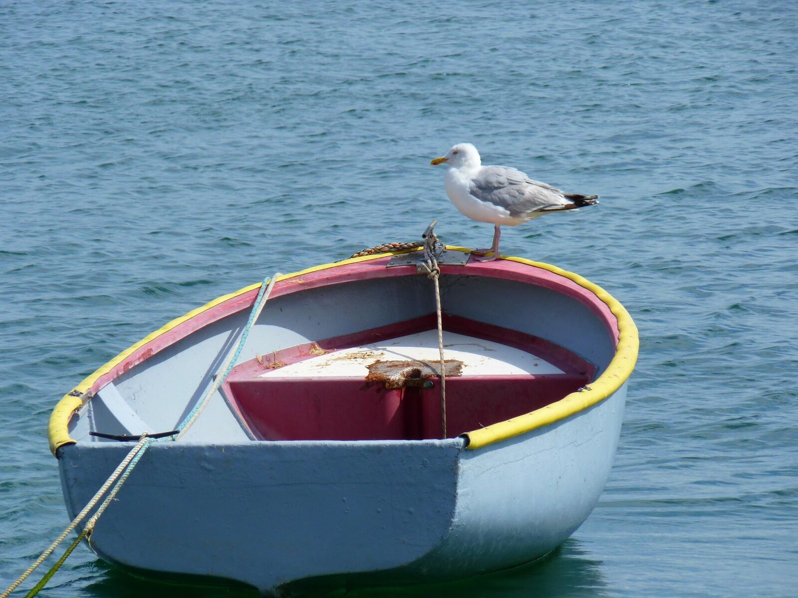 Panasonic Lumix DMC-FZ35 (Lumix DMC-FZ38) sample photo. Rowboat, water, calm photography