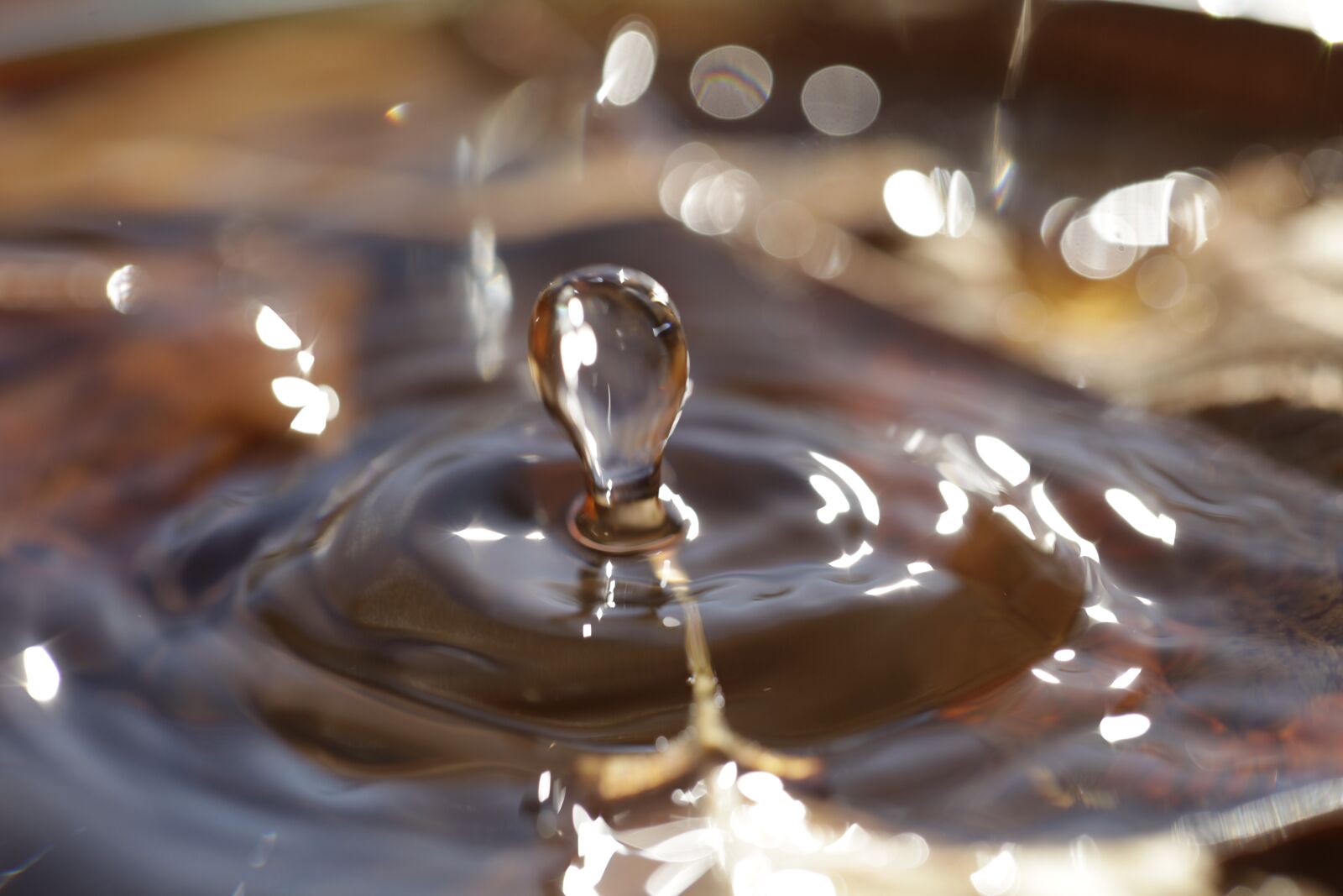 Canon EOS 5D Mark II sample photo. Drip, close up, drops photography