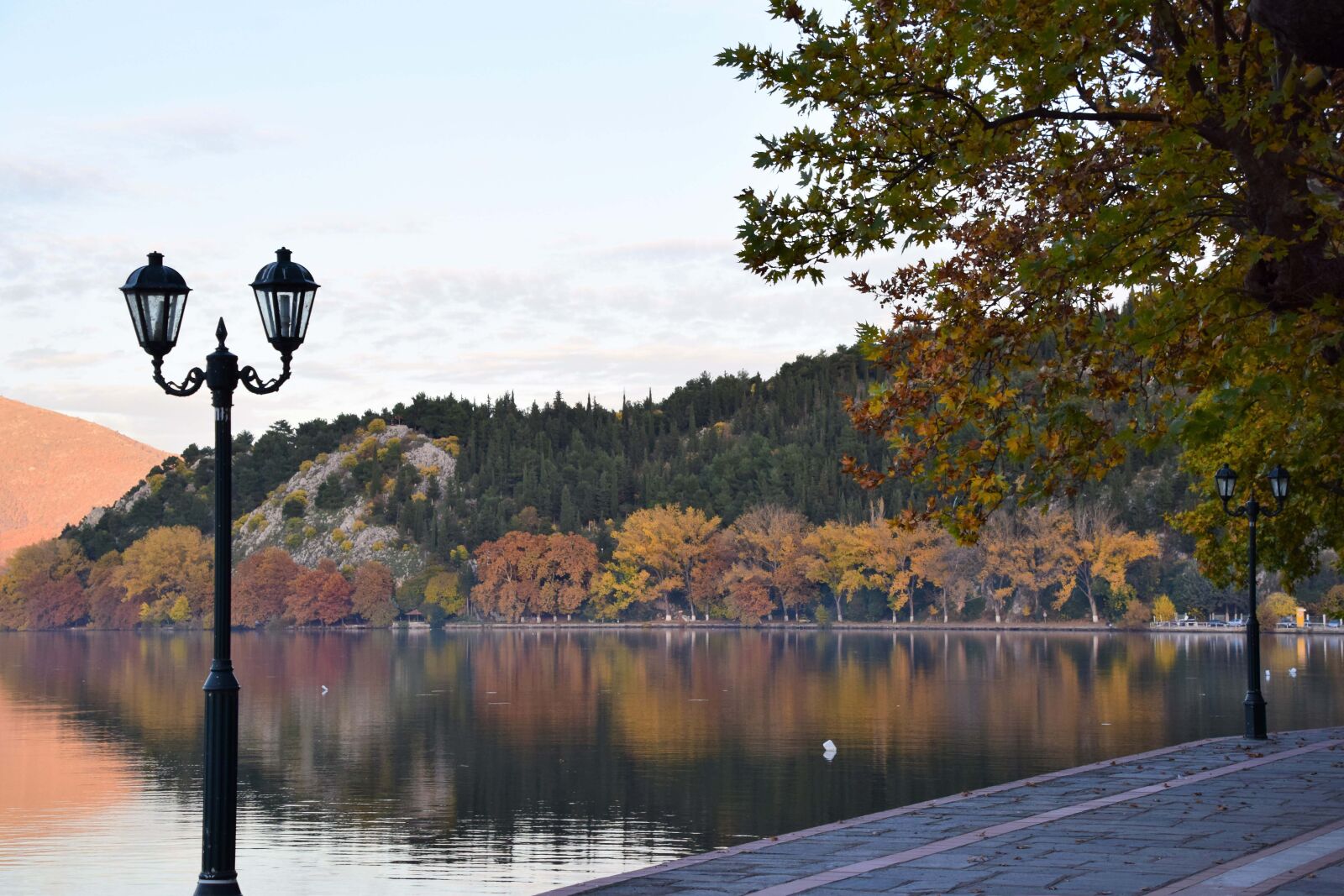 Nikon D5300 sample photo. Autumn, nature, forest photography