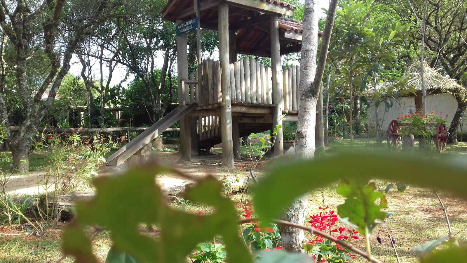 Samsung Galaxy J3(2016) sample photo. Florest, home photography
