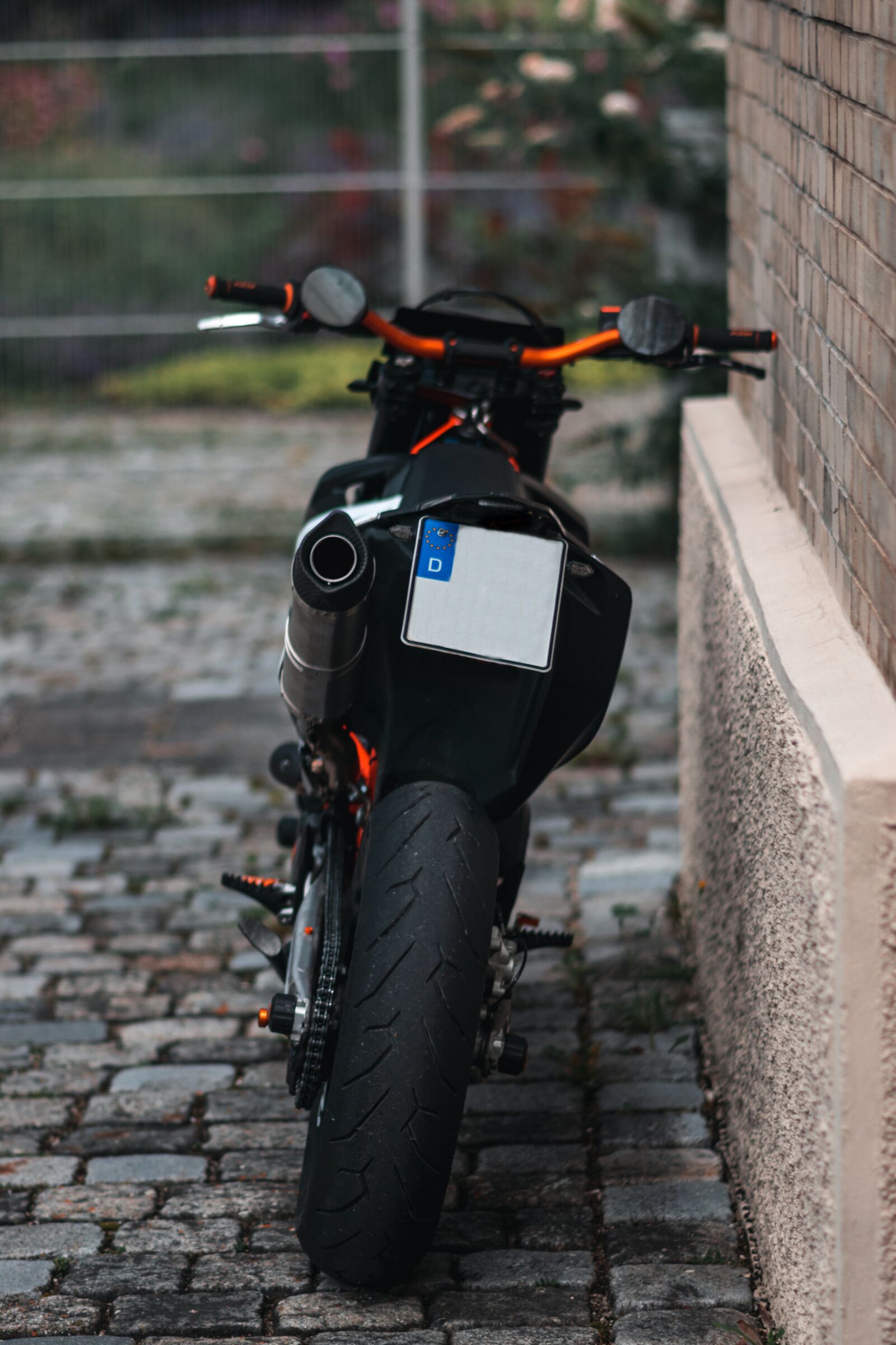 Nikon D3500 sample photo