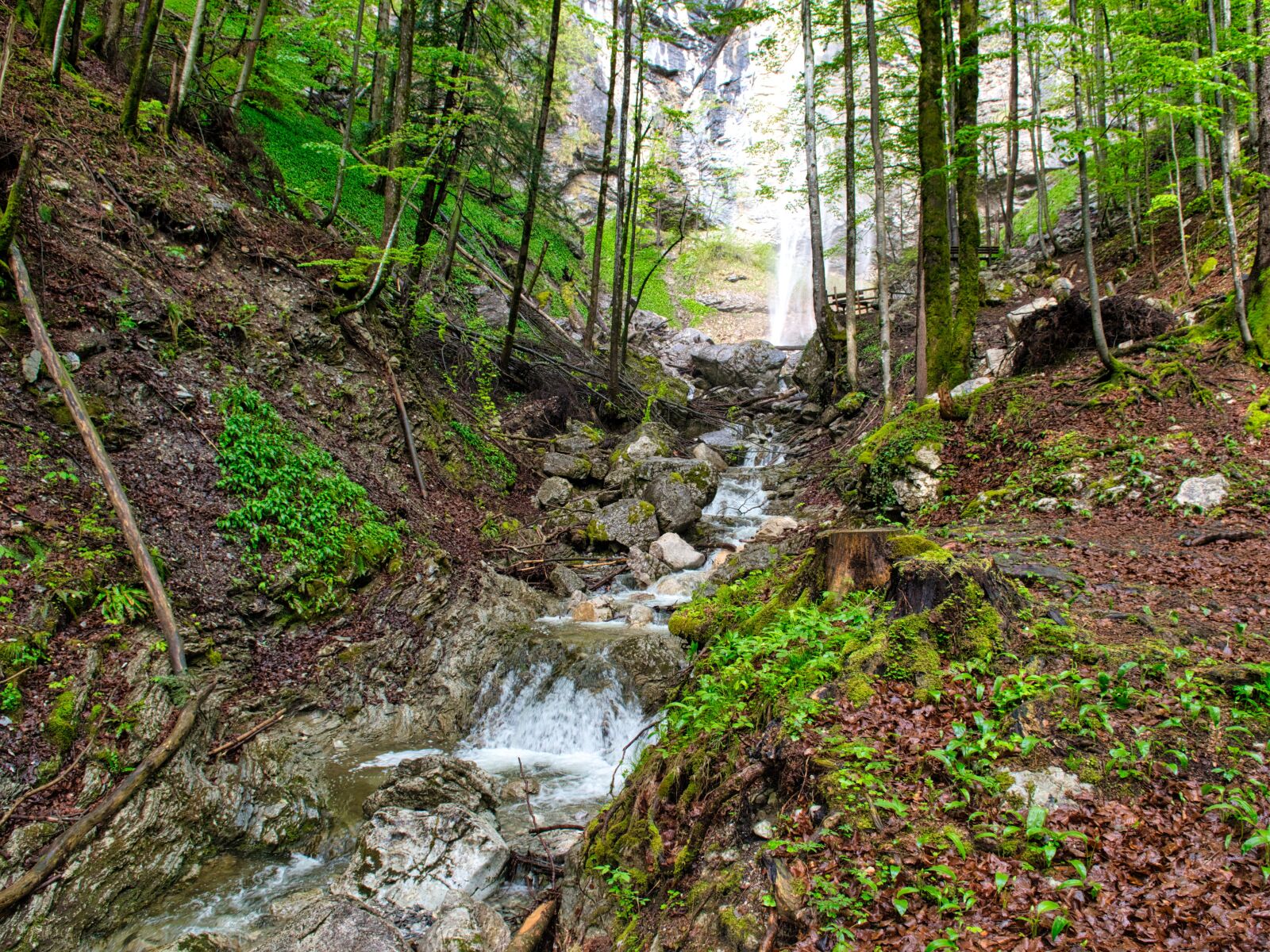 Nikon D7500 sample photo. Bach, torrent, nature photography