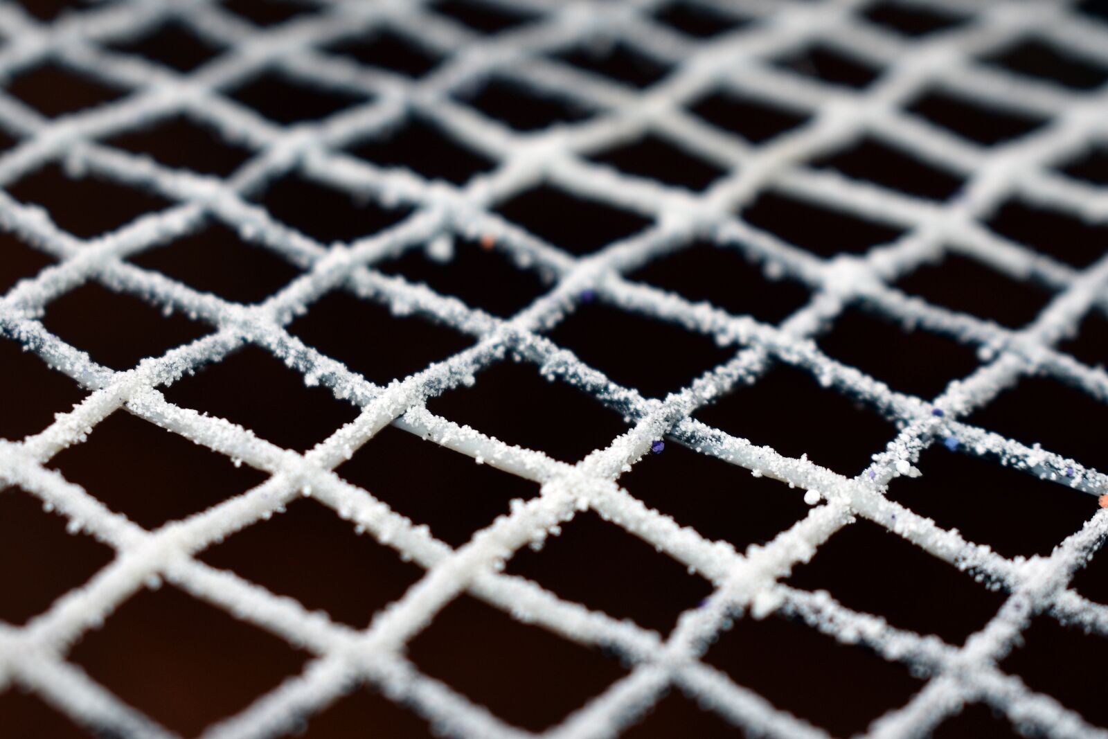 Nikon D3400 sample photo. The grid, grid, network photography