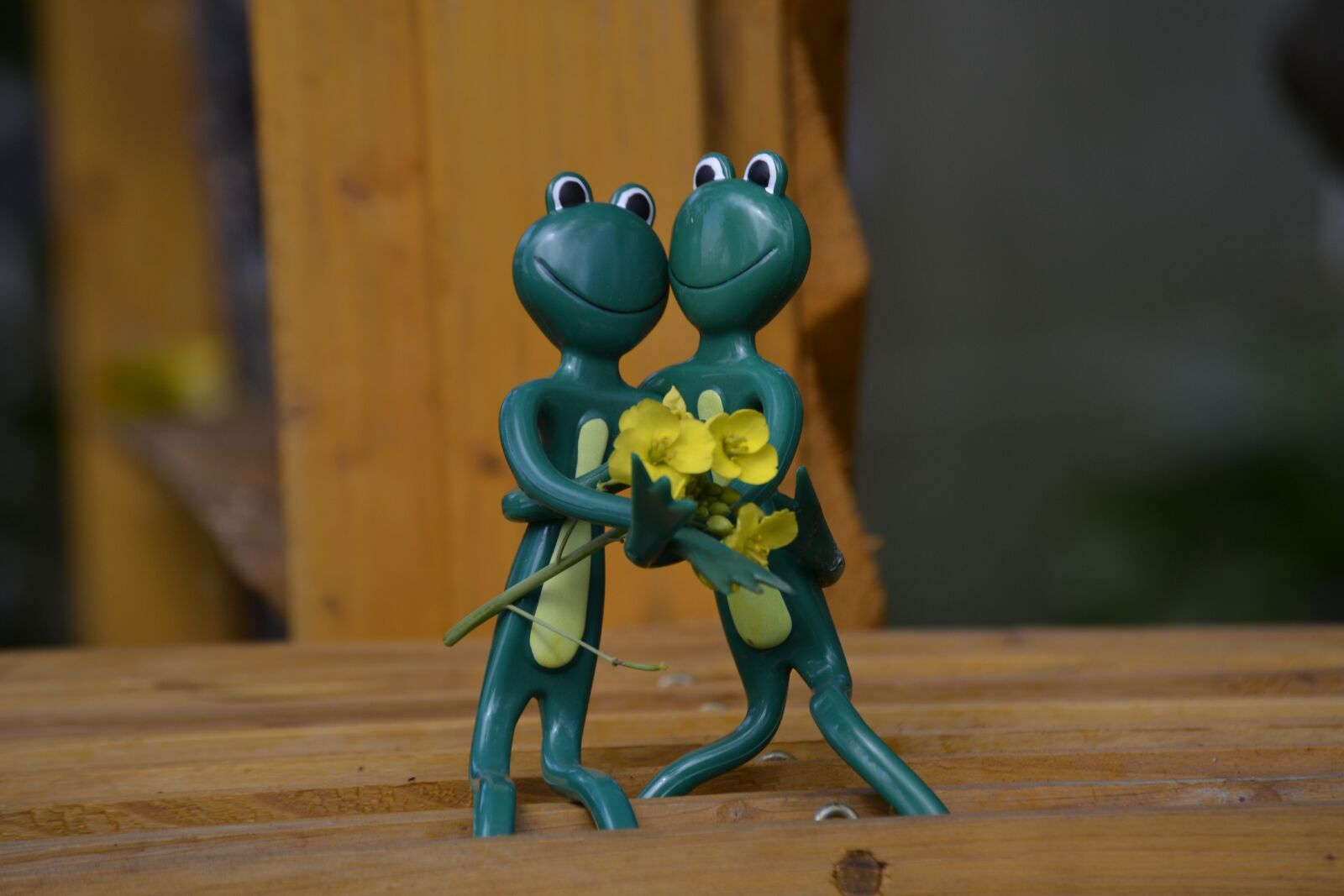 Nikon D3100 sample photo. Wood, frog, lovers photography