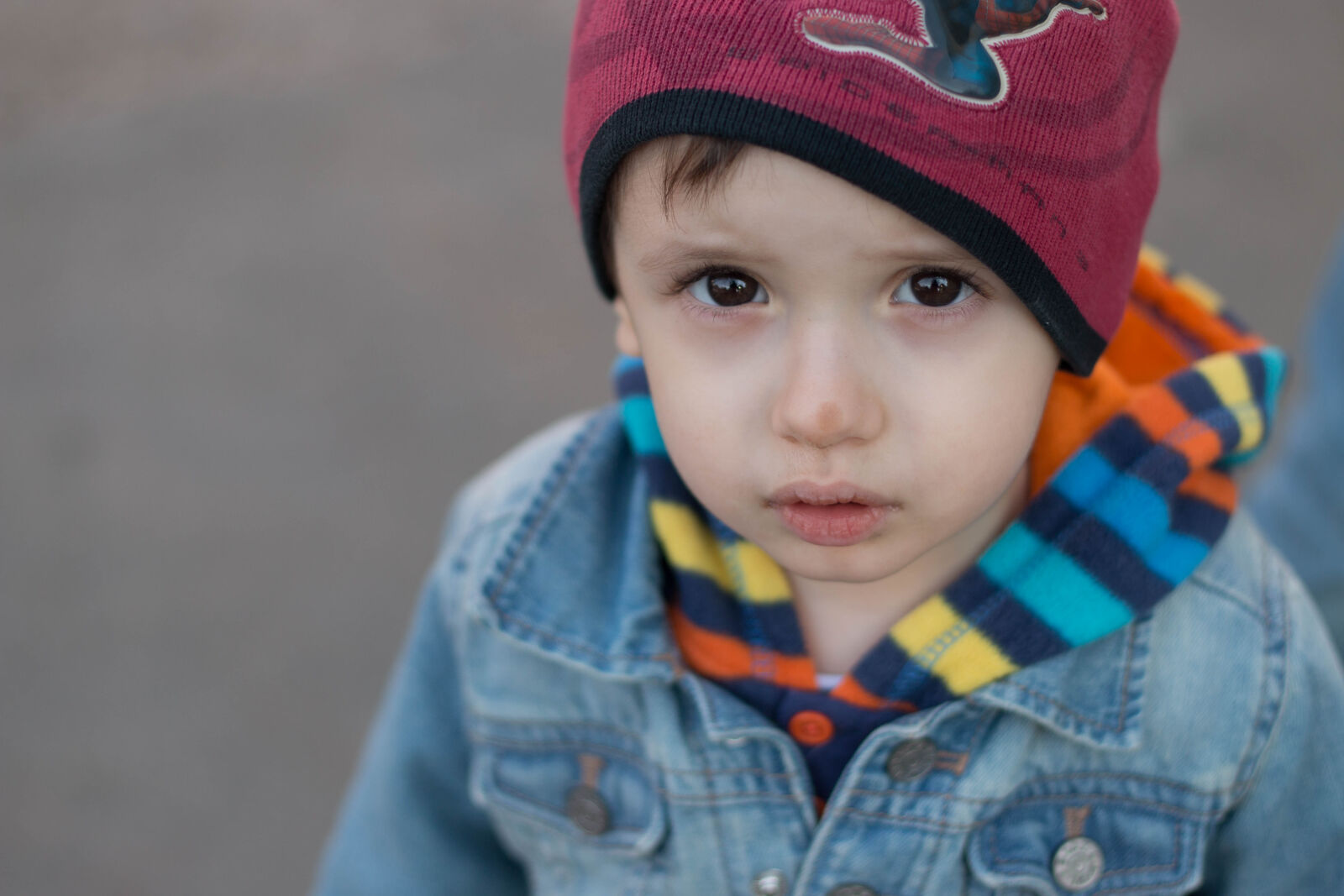 Canon EOS 70D + Canon EF 50mm F1.8 II sample photo